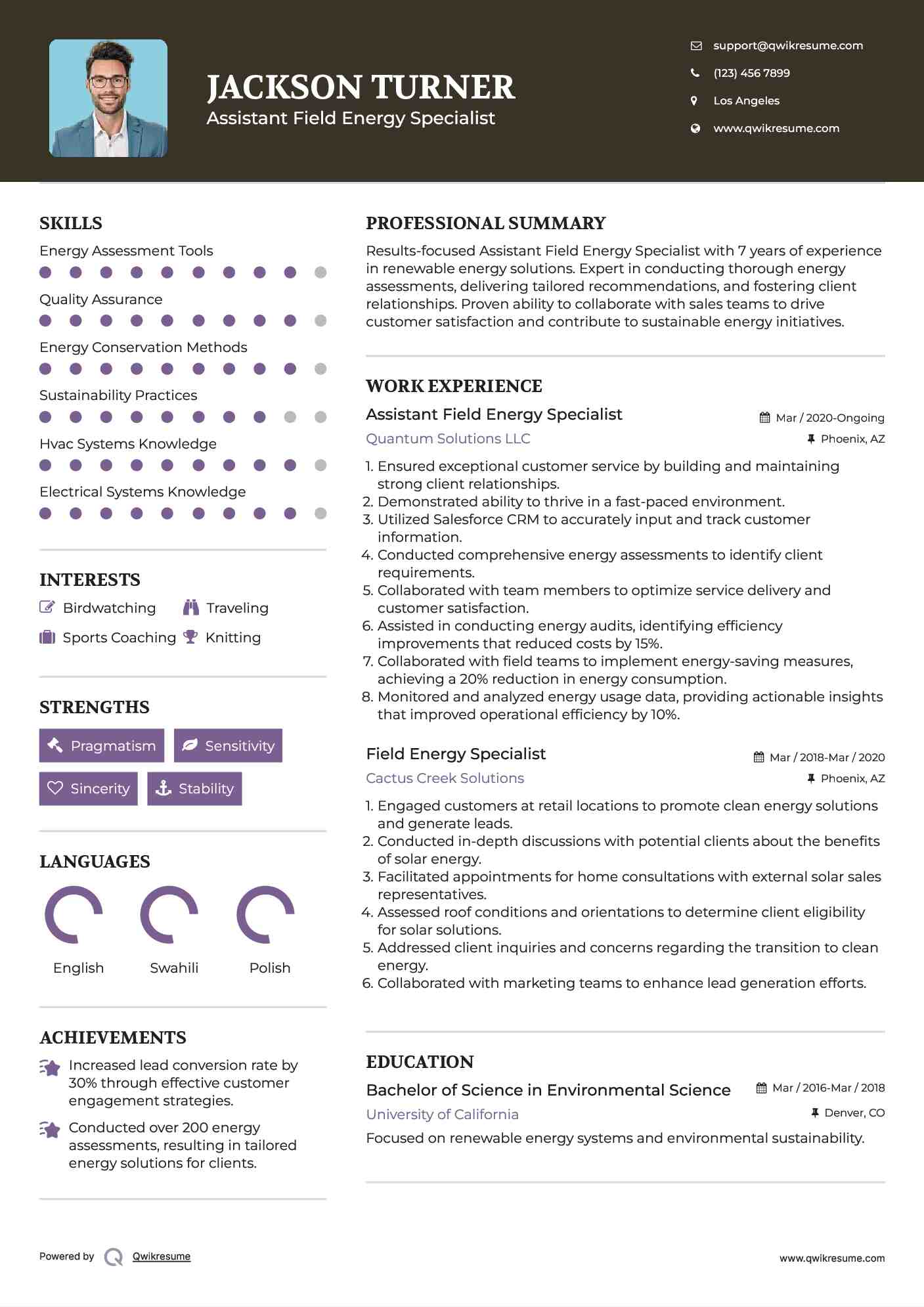 Assistant Field Energy Specialist Resume Example