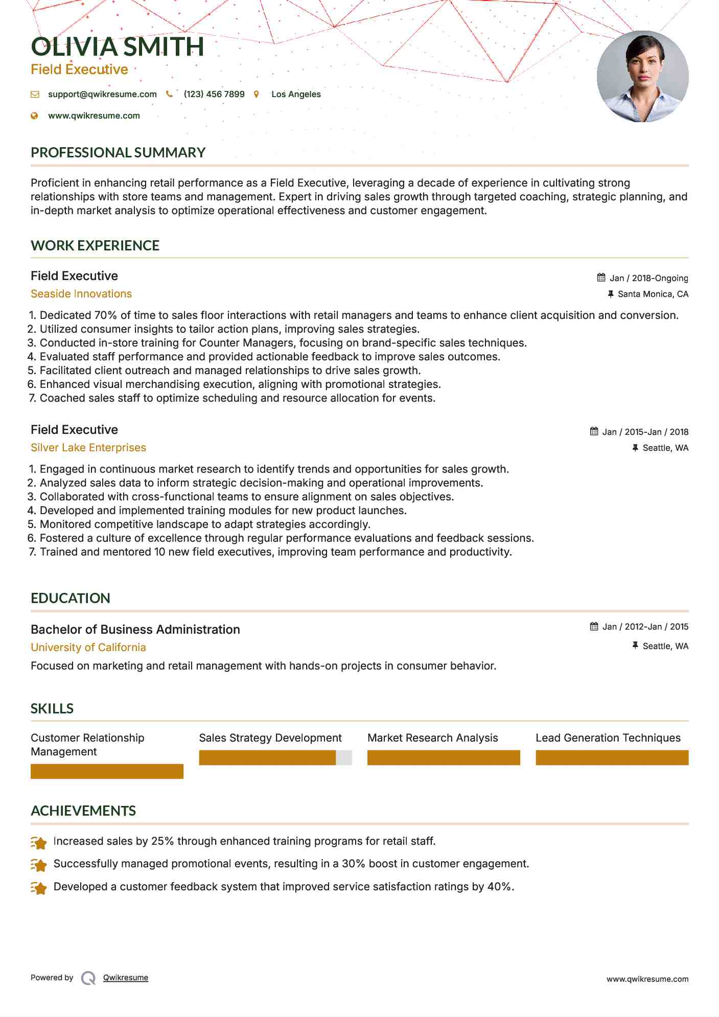 Field Executive Resume Example