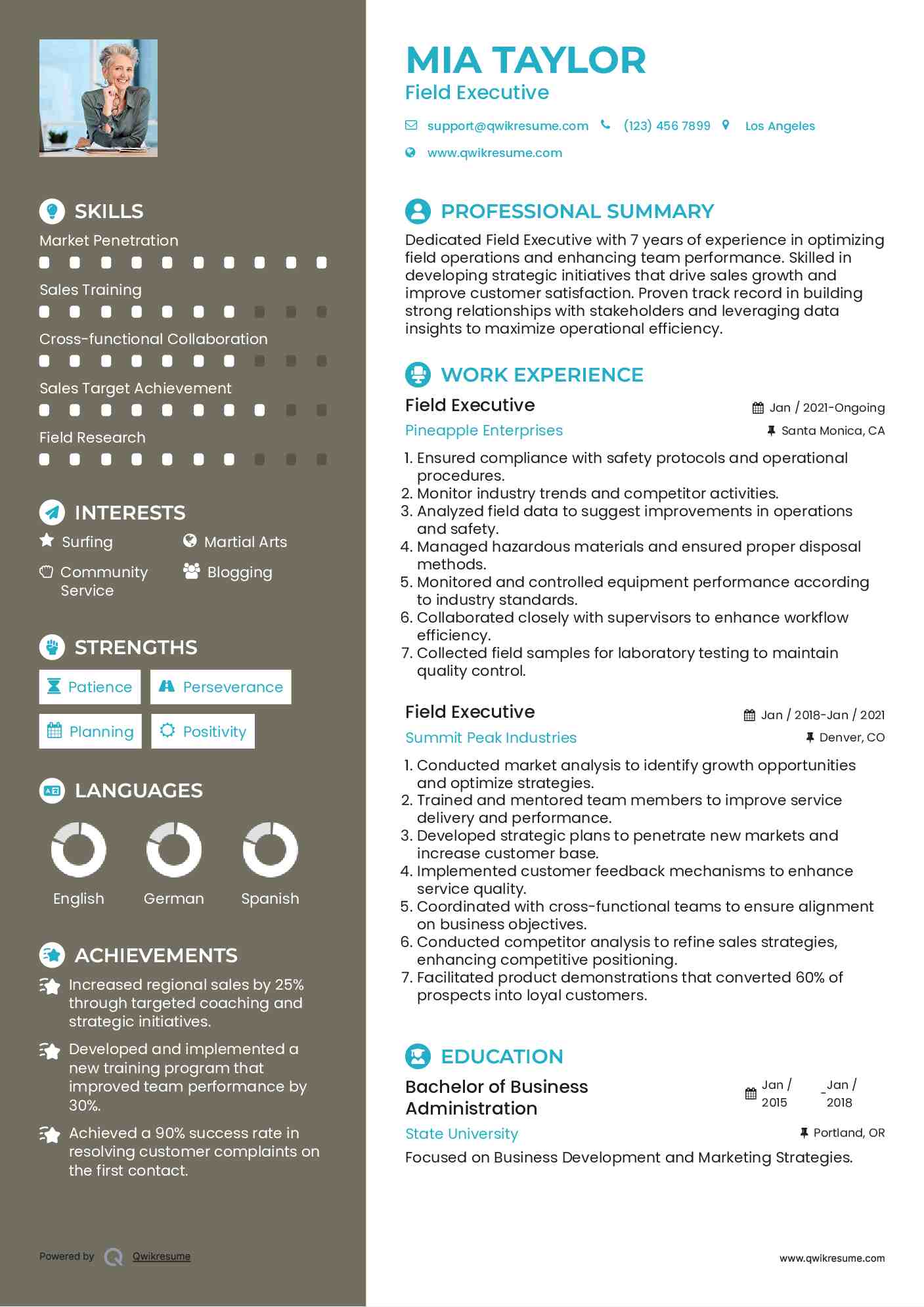 Field Executive Resume Model