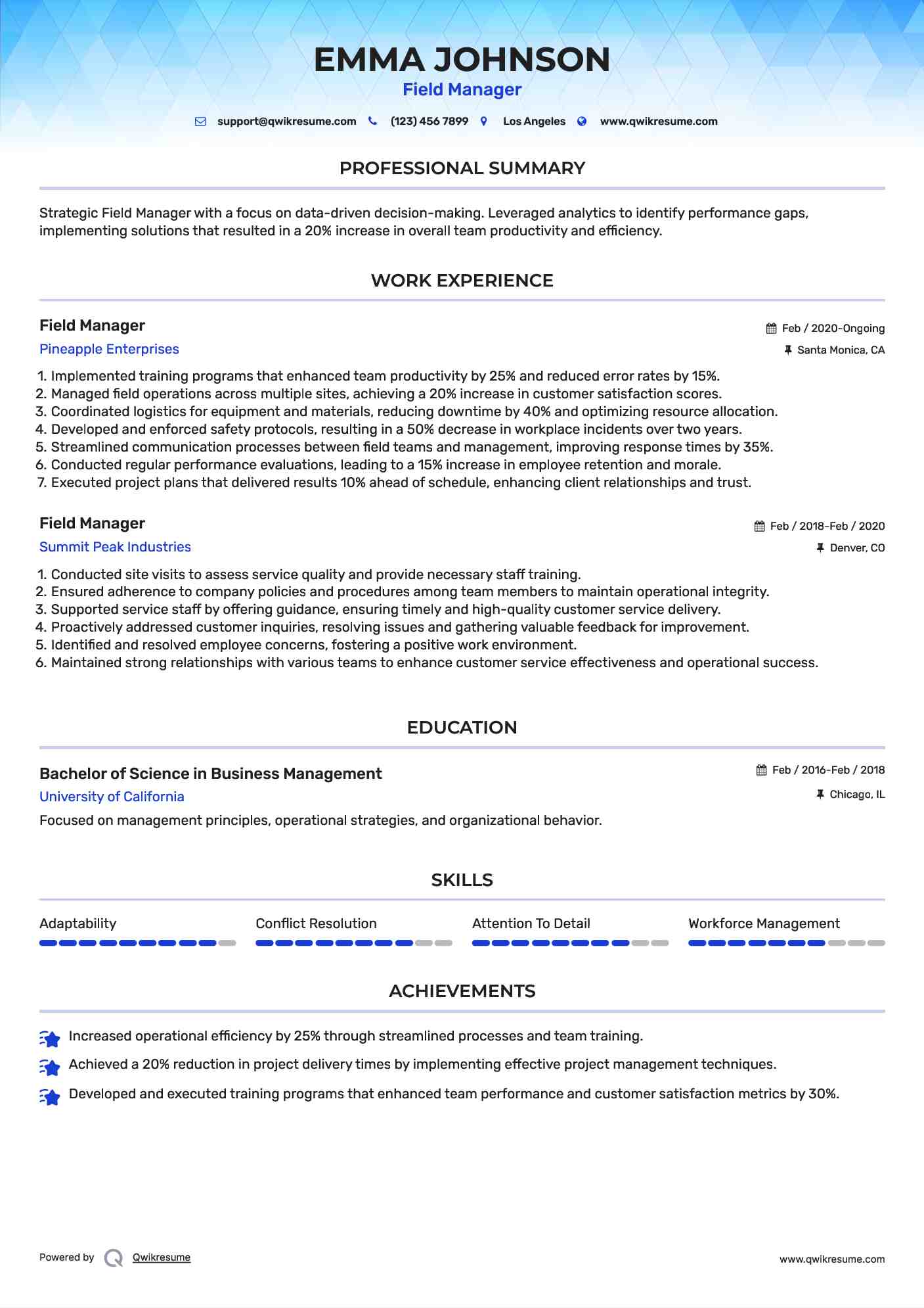 Field Manager Resume Format