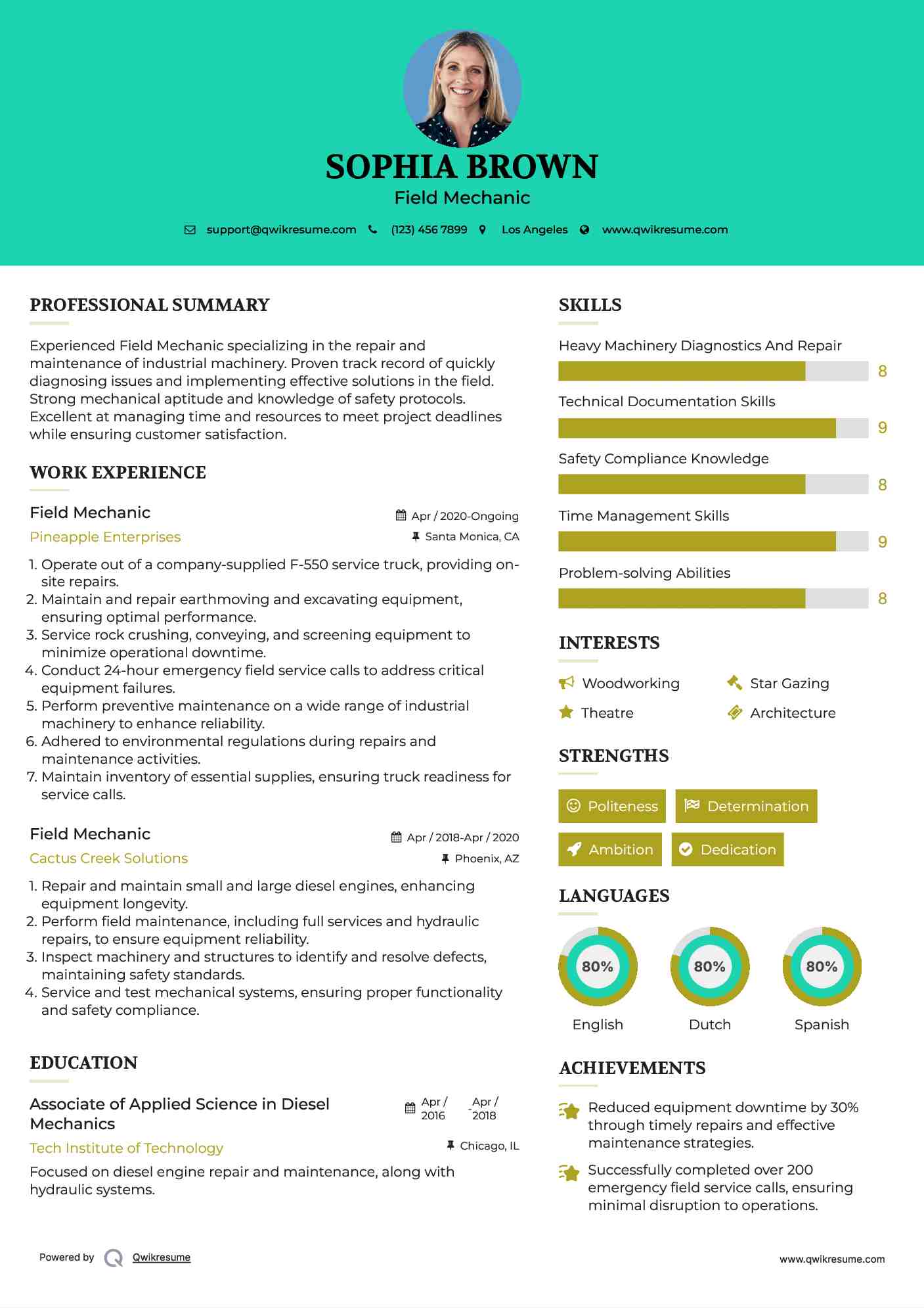Field Mechanic Resume Sample