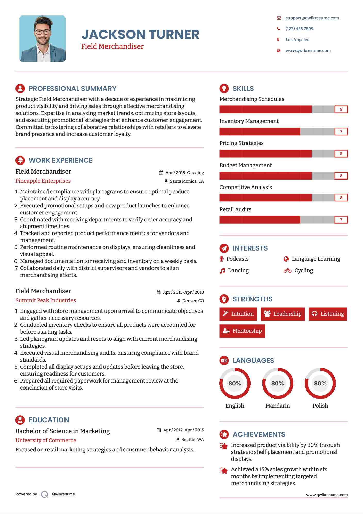 Field Merchandiser Resume Example