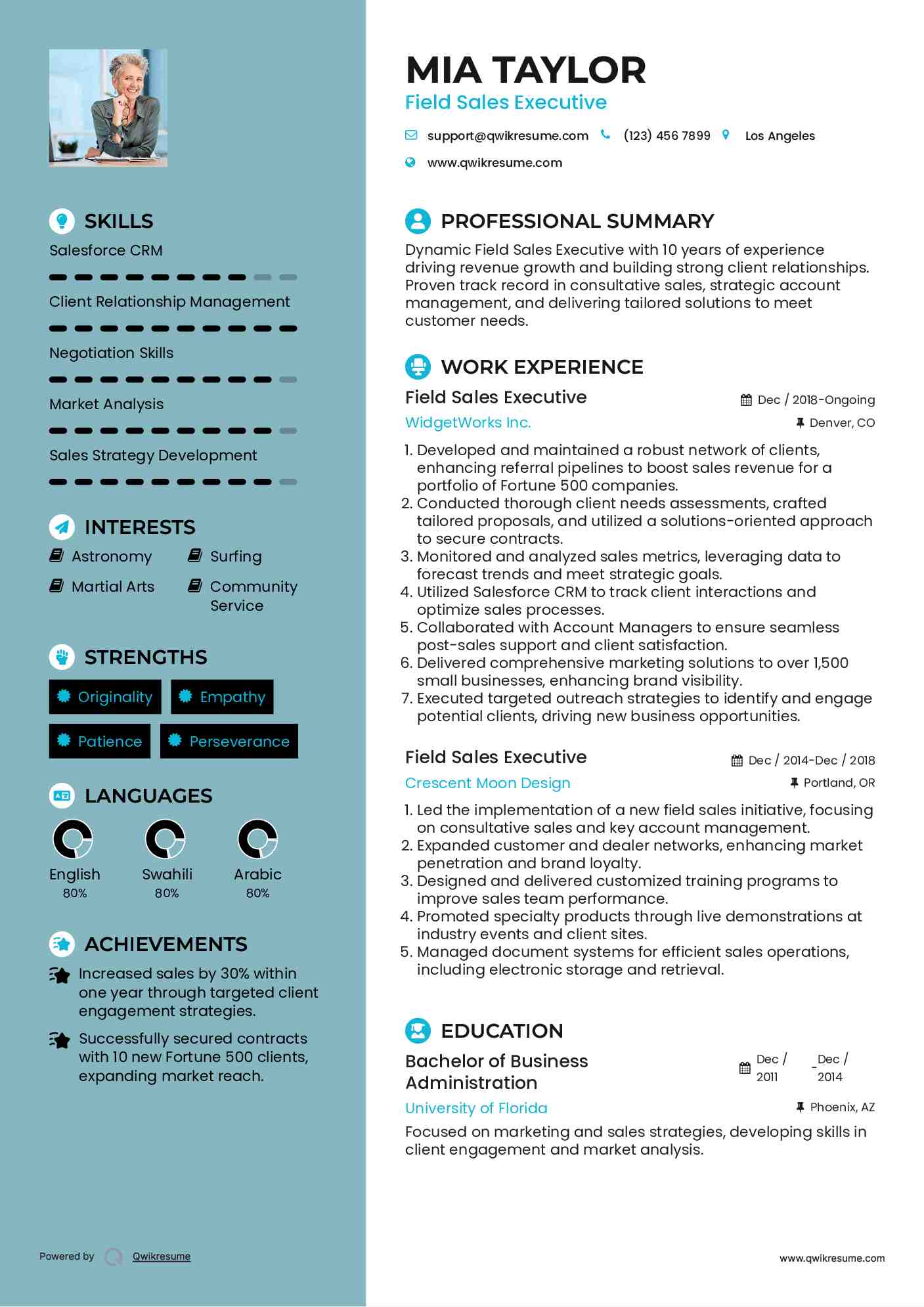 Field Sales Executive Resume Format