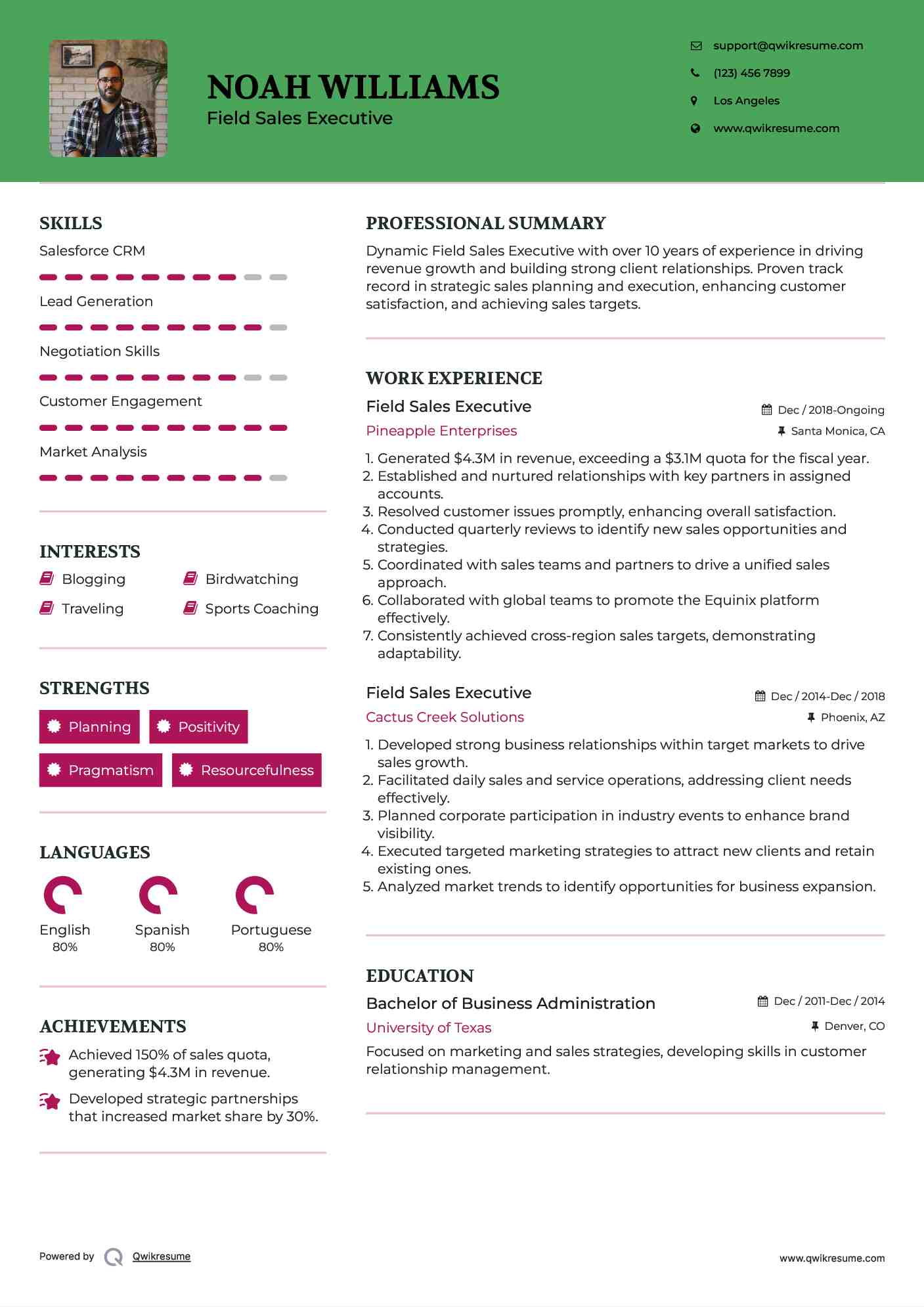Field Sales Executive Resume Model