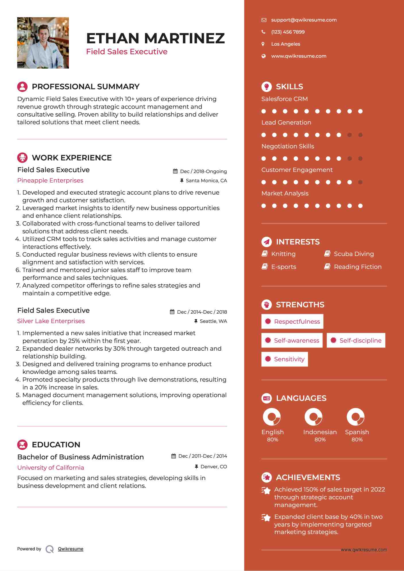 Field Sales Executive Resume Model