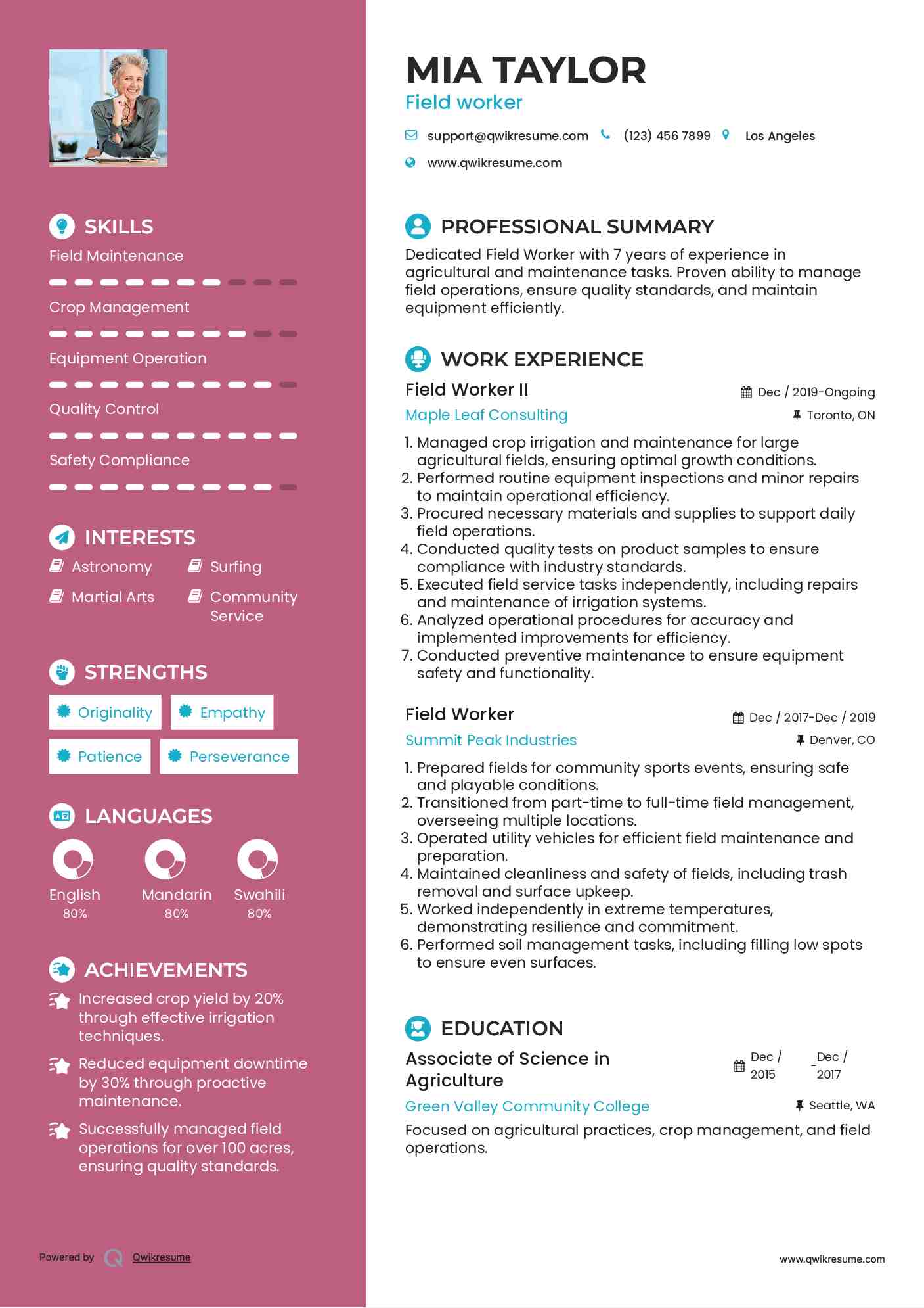 Field Worker II Resume Example
