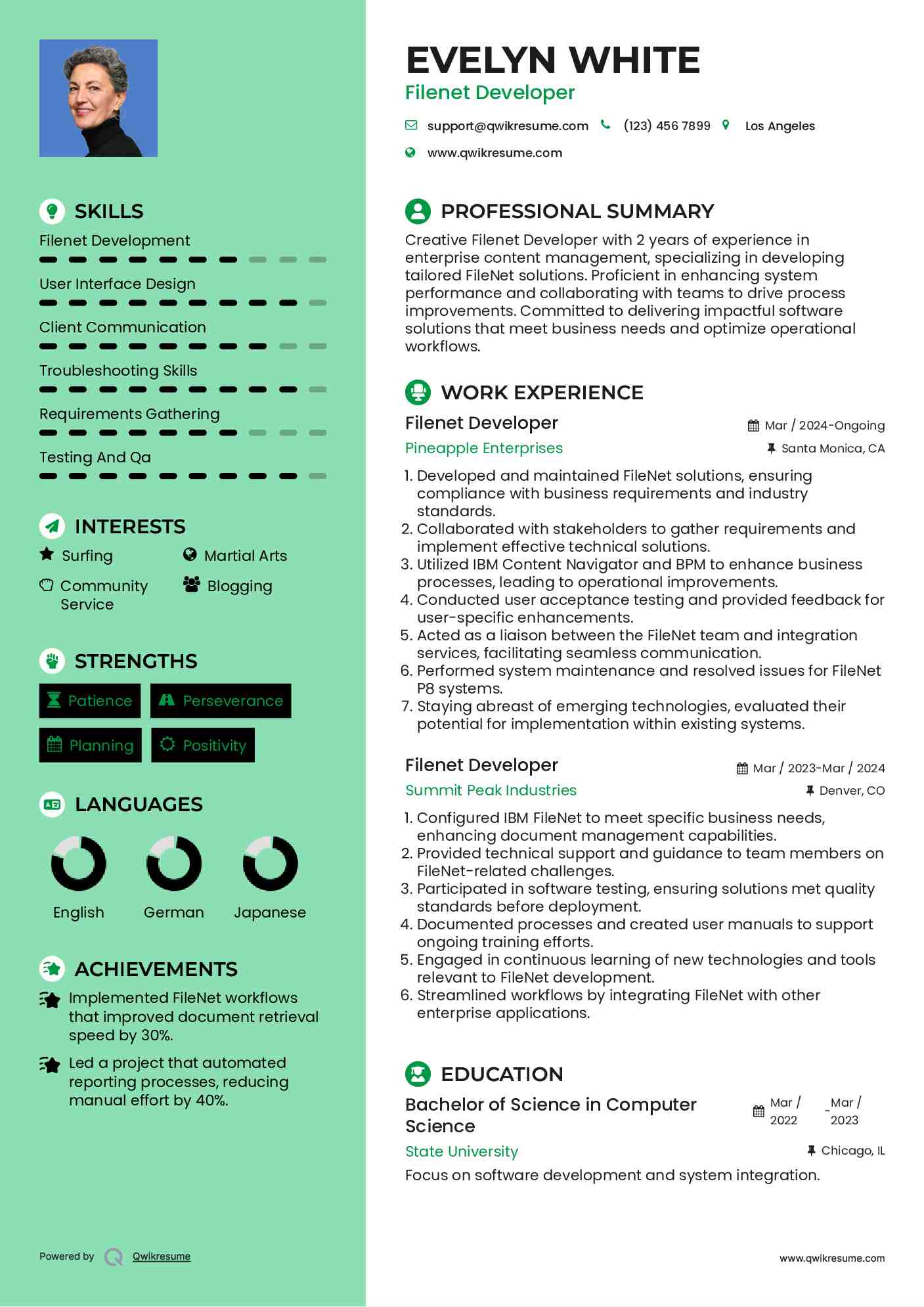 Filenet Developer Resume Model