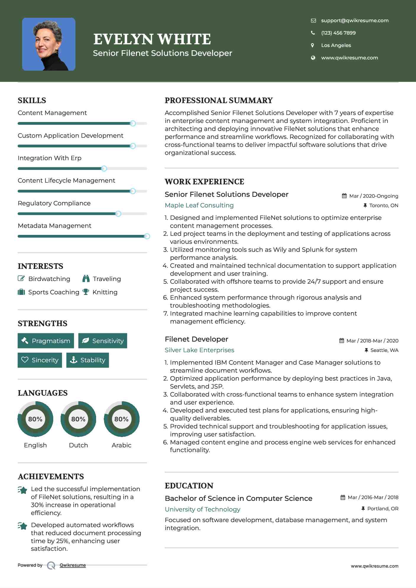 Senior Filenet Solutions Developer Resume Model