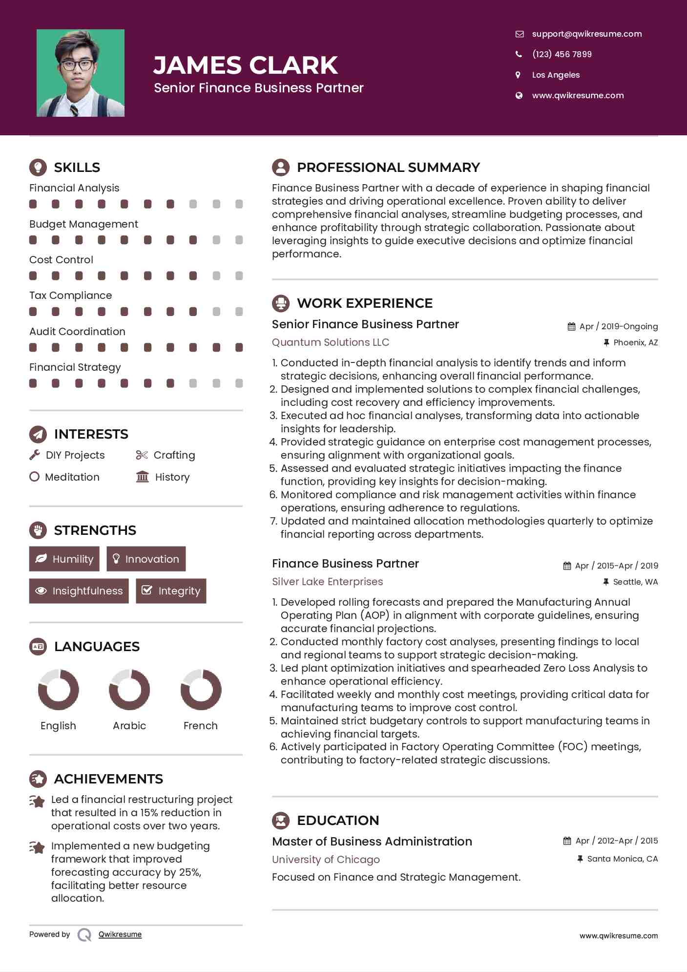 Senior Finance Business Partner Resume Template