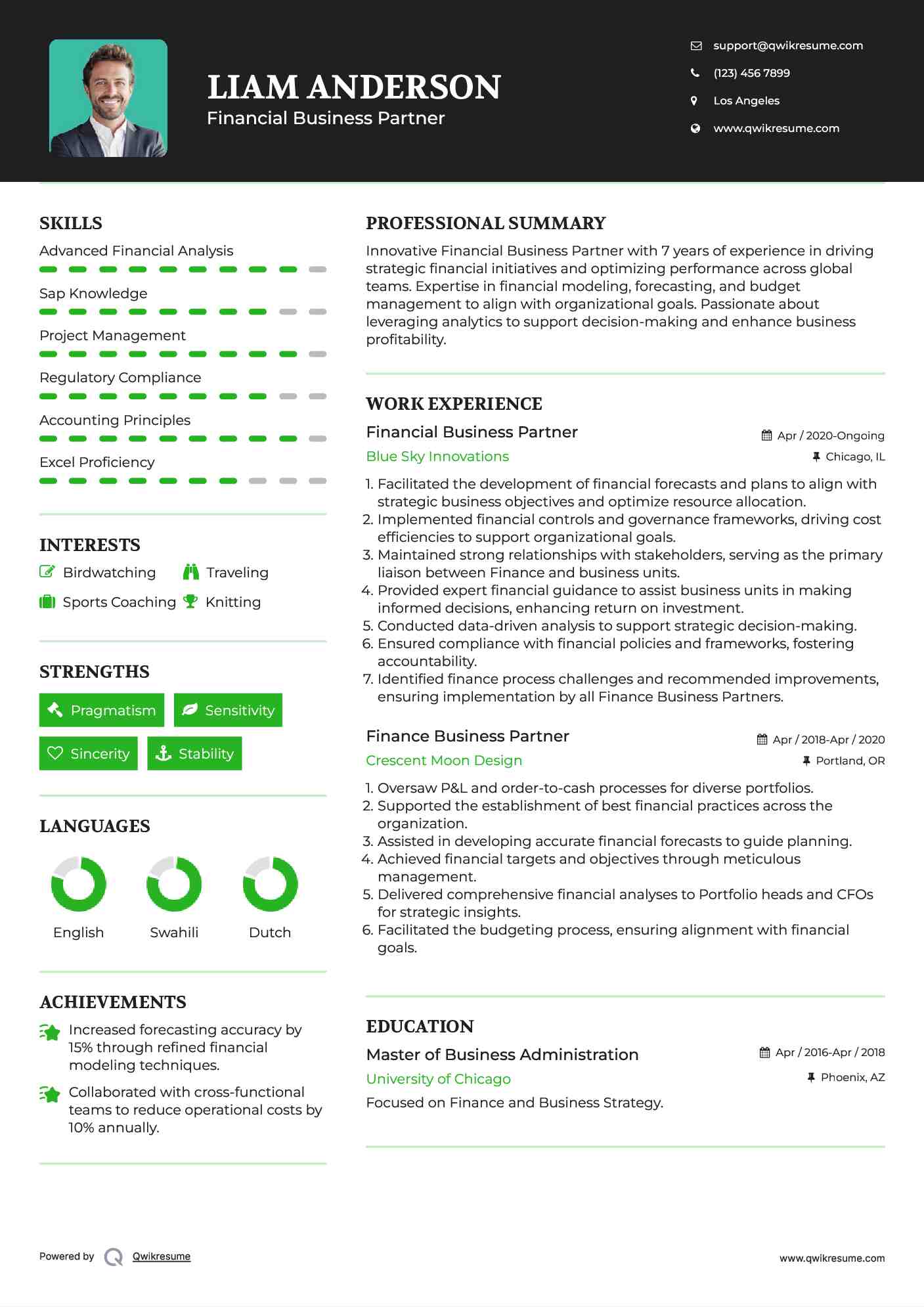 Financial Business Partner  Resume Template