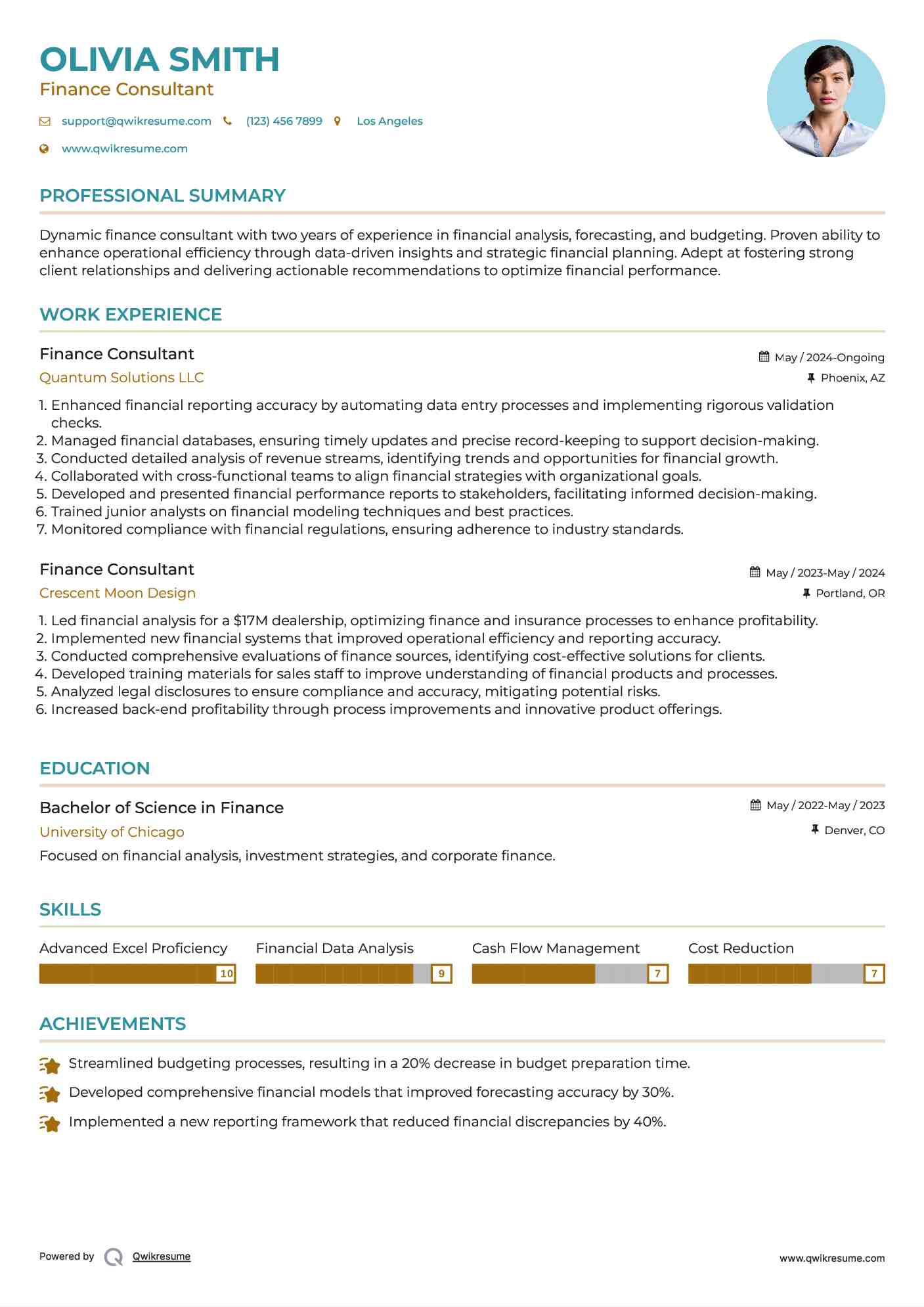 Finance Consultant Resume Sample