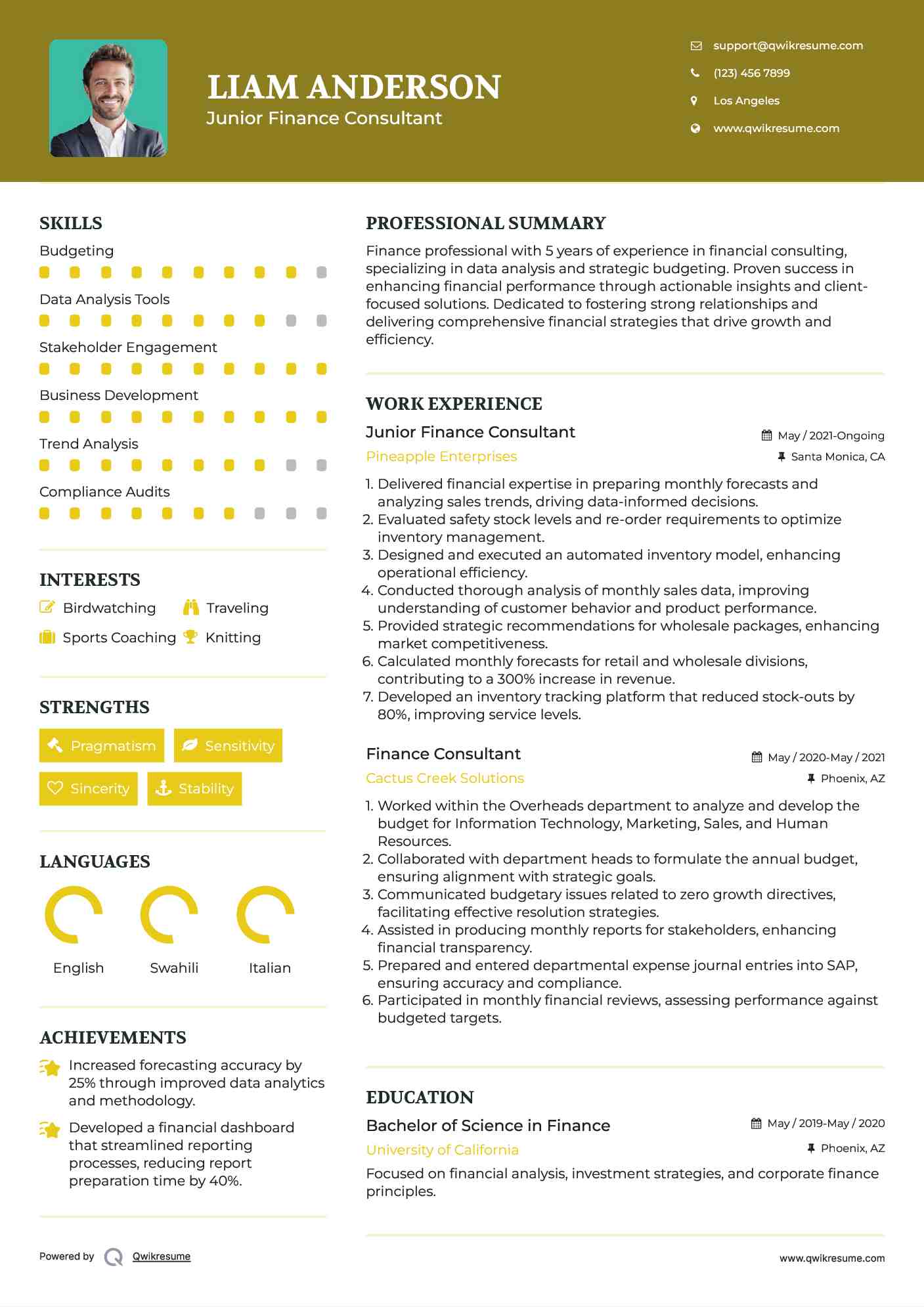 Junior Finance Consultant Resume Format