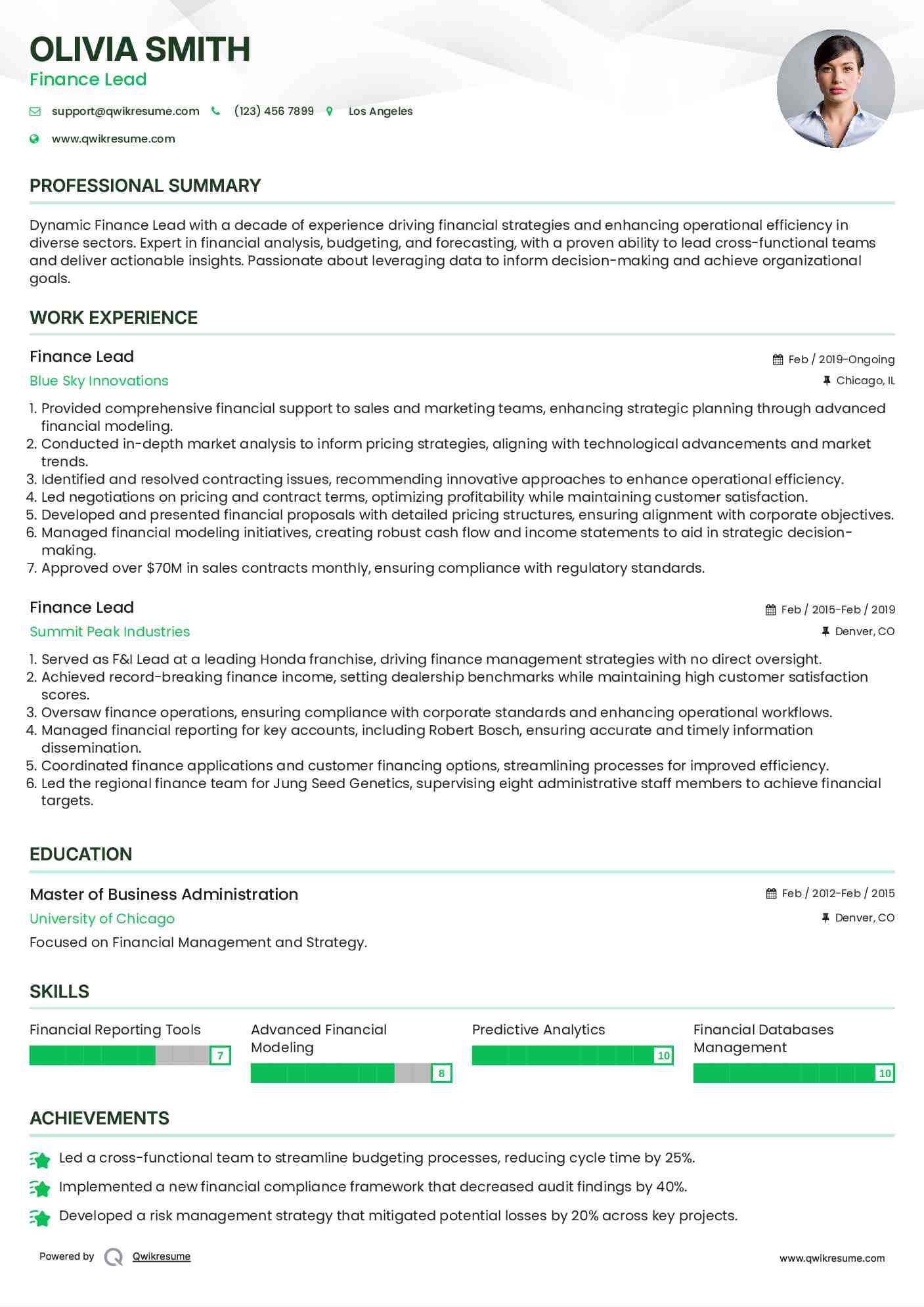 Finance Lead Resume Example