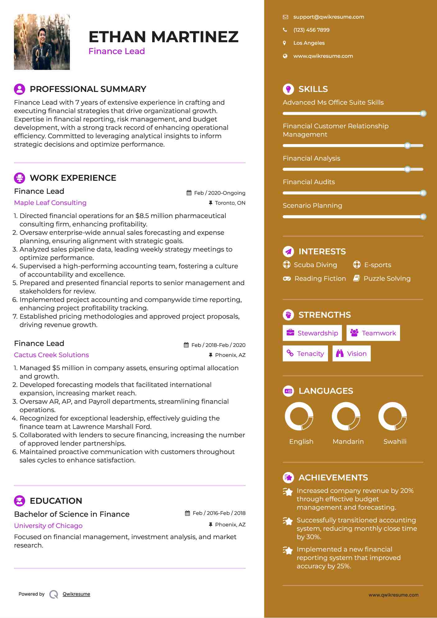 Finance Lead Resume Model