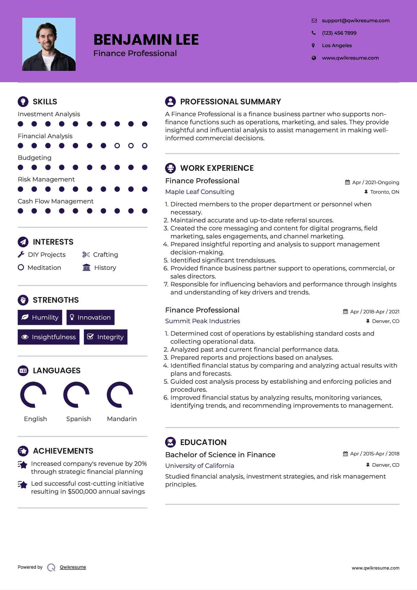 Finance Professional Resume Format