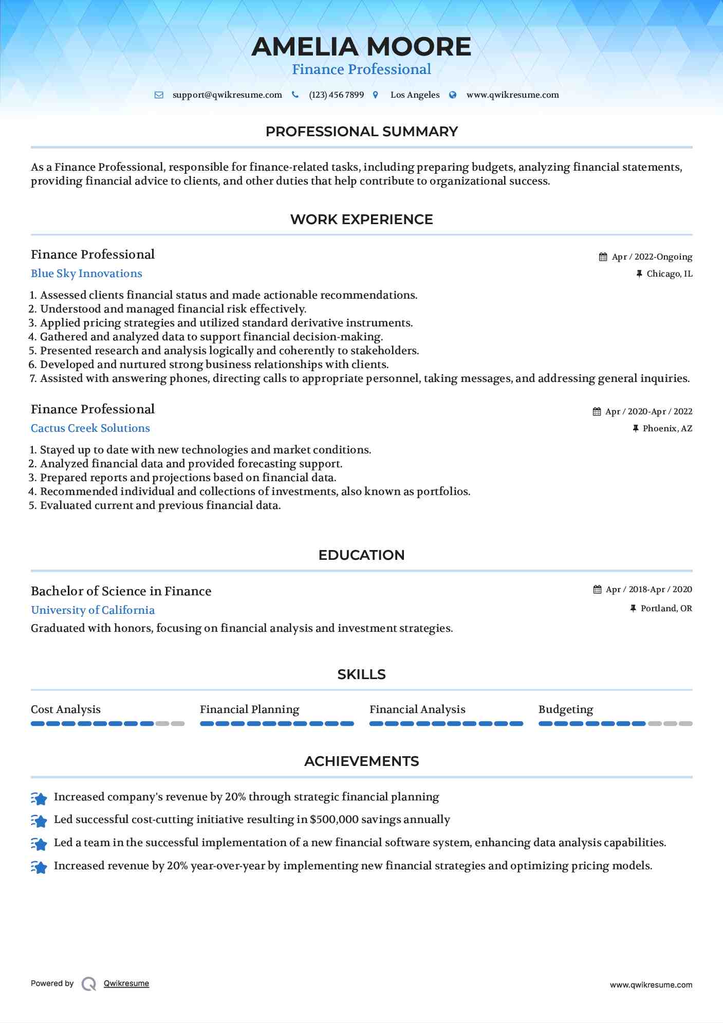 Finance Professional Resume Sample