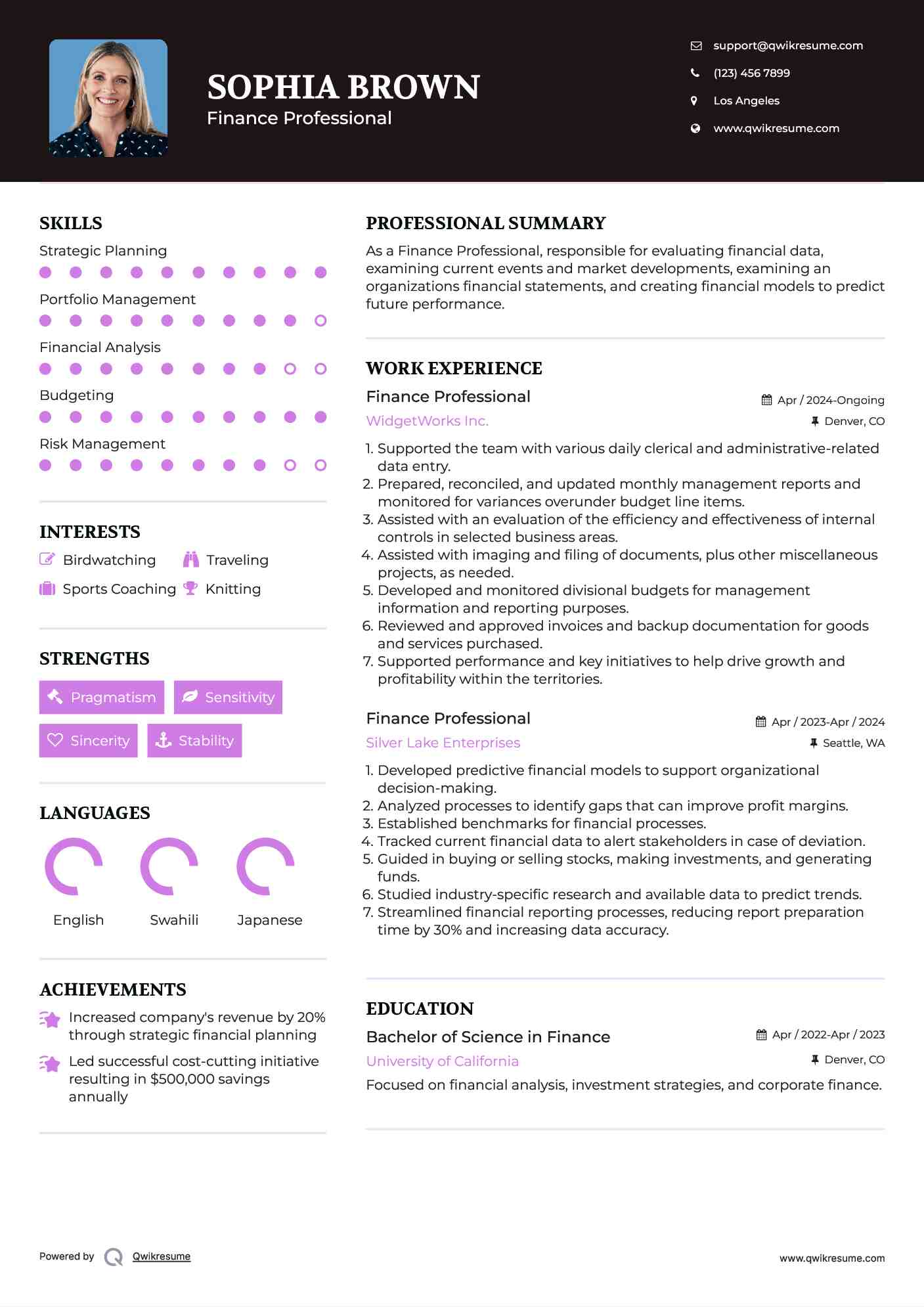 Finance Professional Resume Format