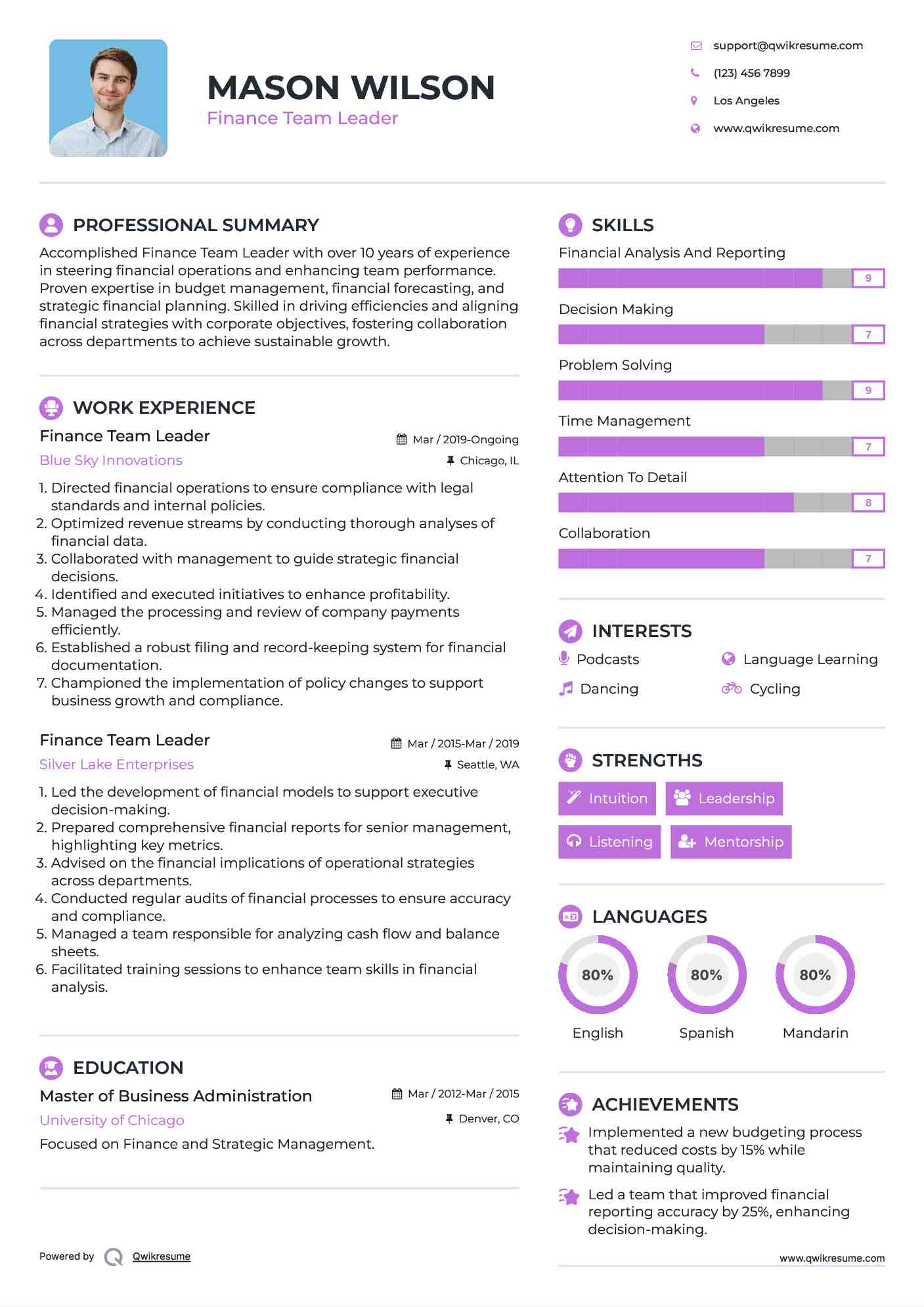 Finance Team Leader Resume Model