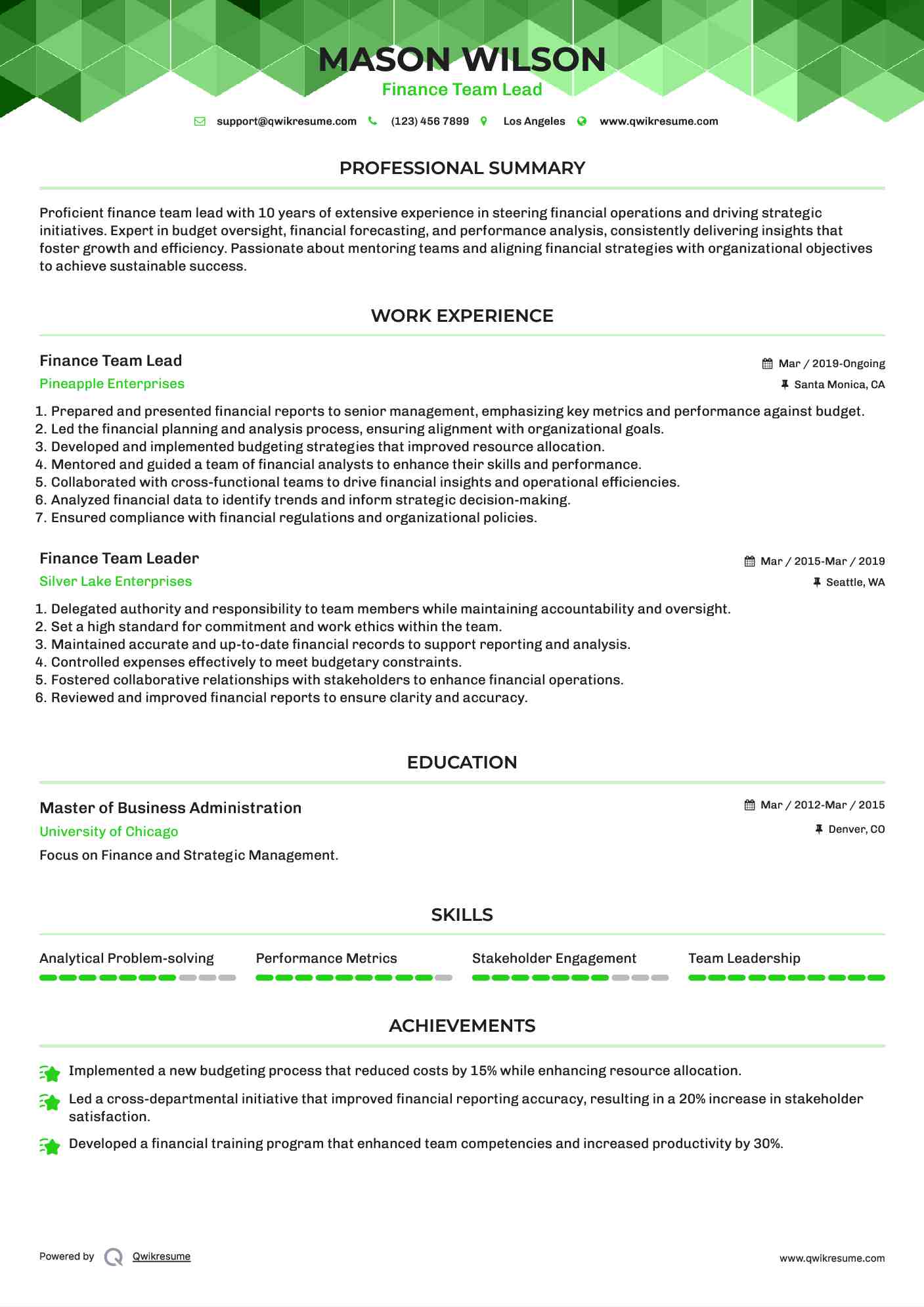 Finance Team Lead Resume Model
