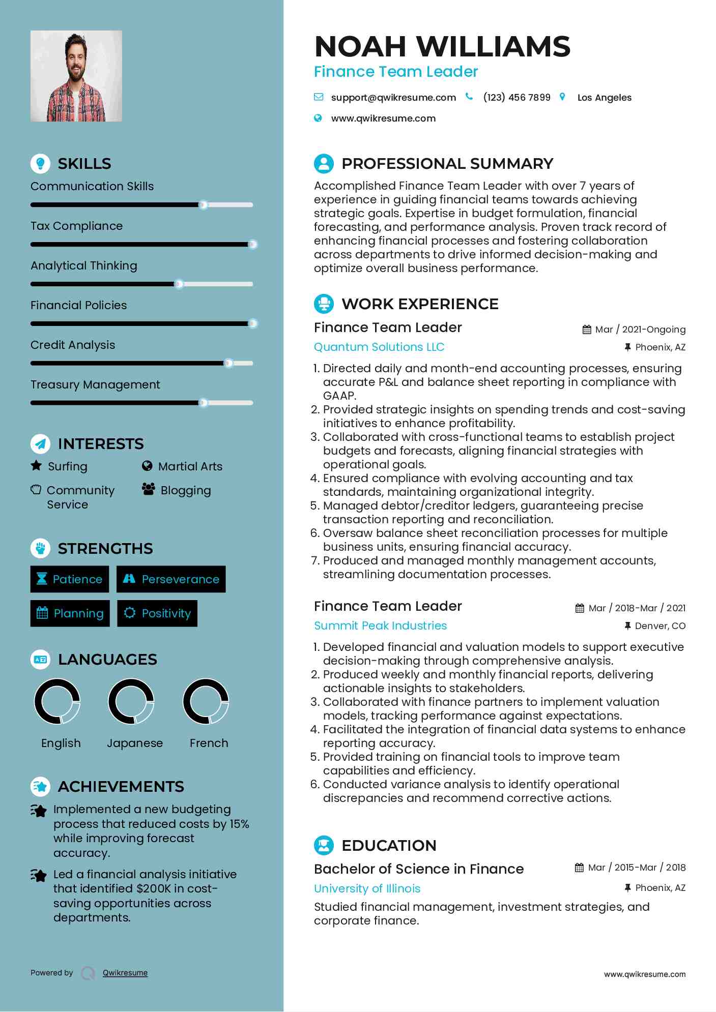 Finance Team Leader Resume Example