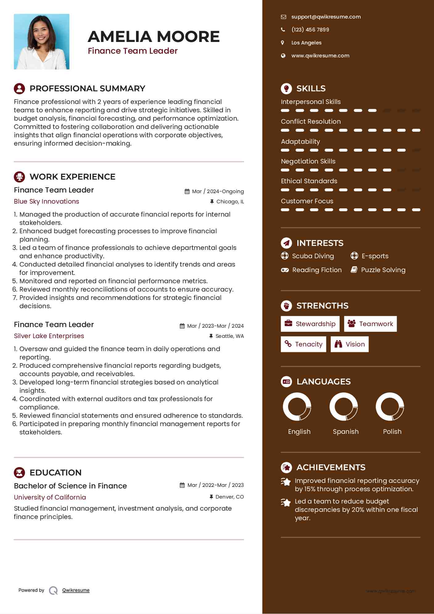 Finance Team Leader Resume Model