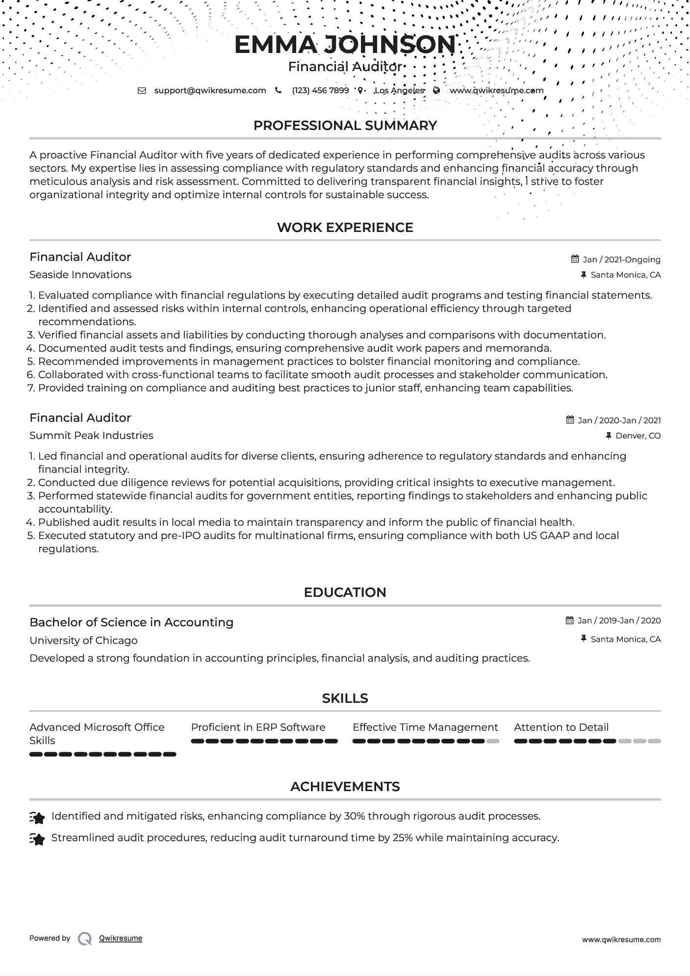 Financial Auditor Resume Template