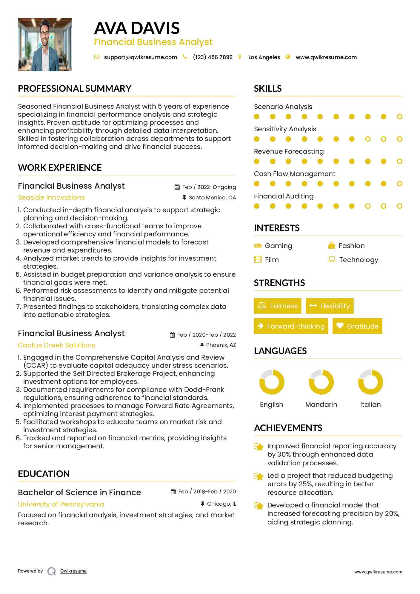 Financial Business Analyst Resume Example