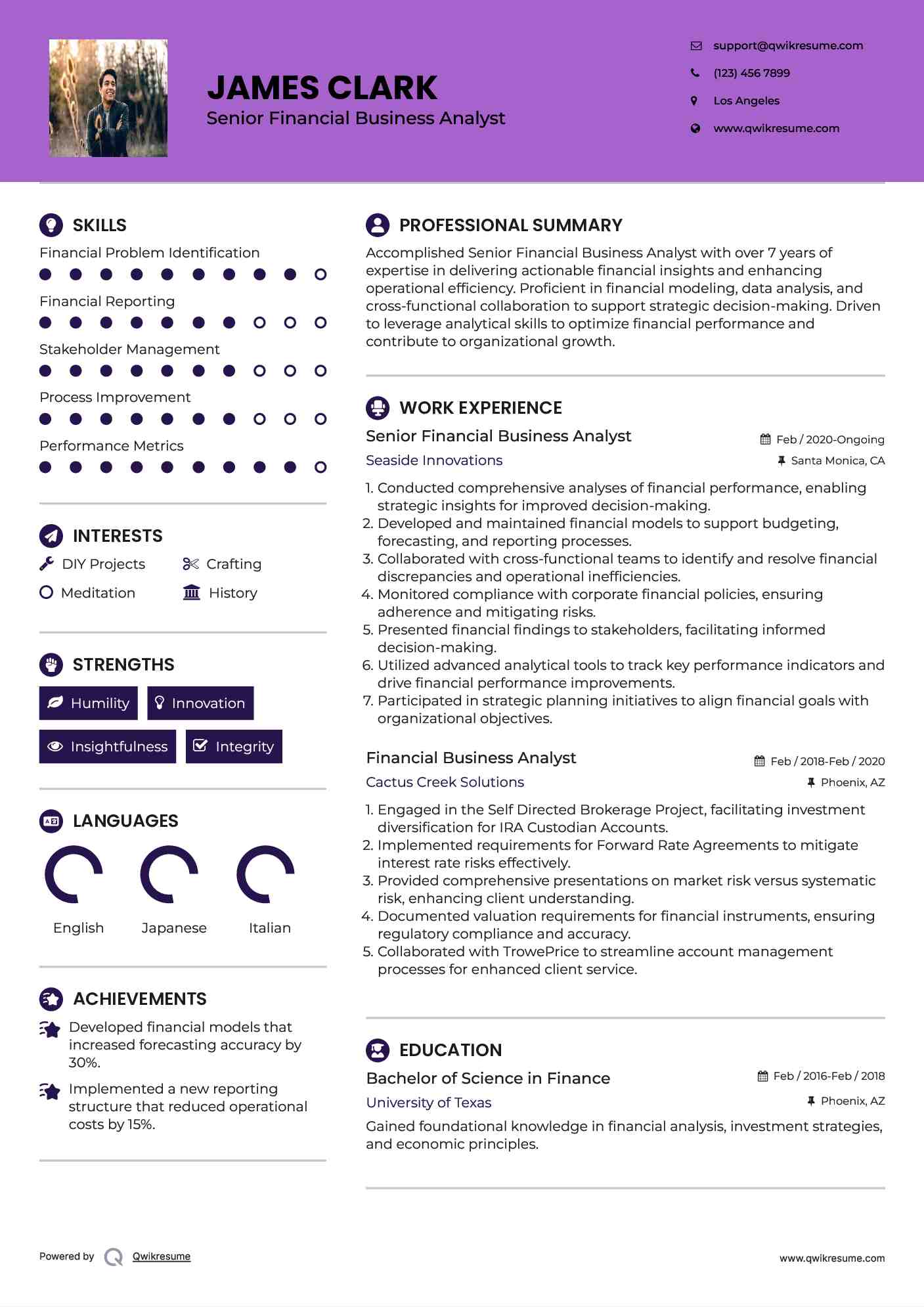 Senior Financial Business Analyst Resume Model