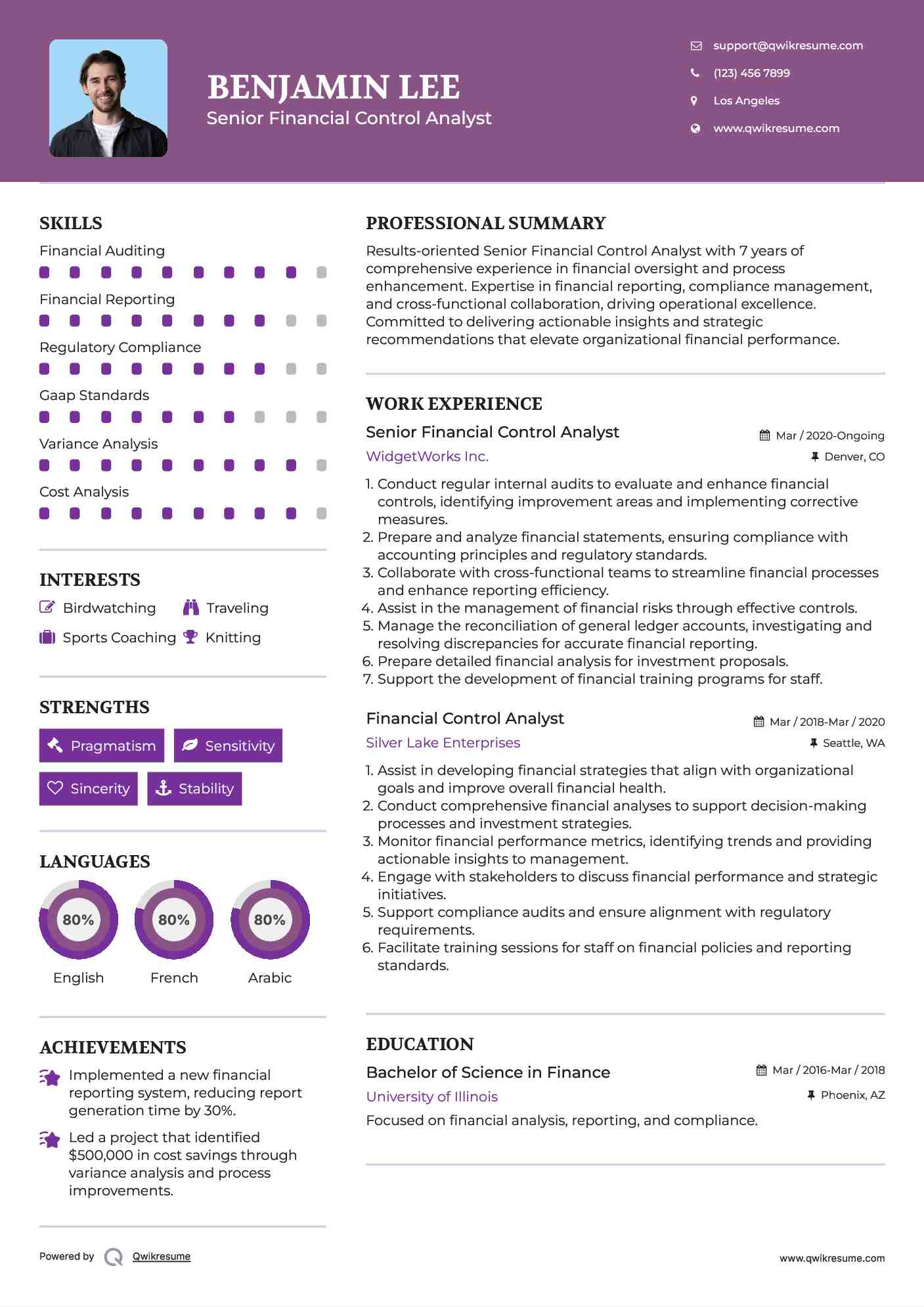 Senior Financial Control Analyst Resume Template