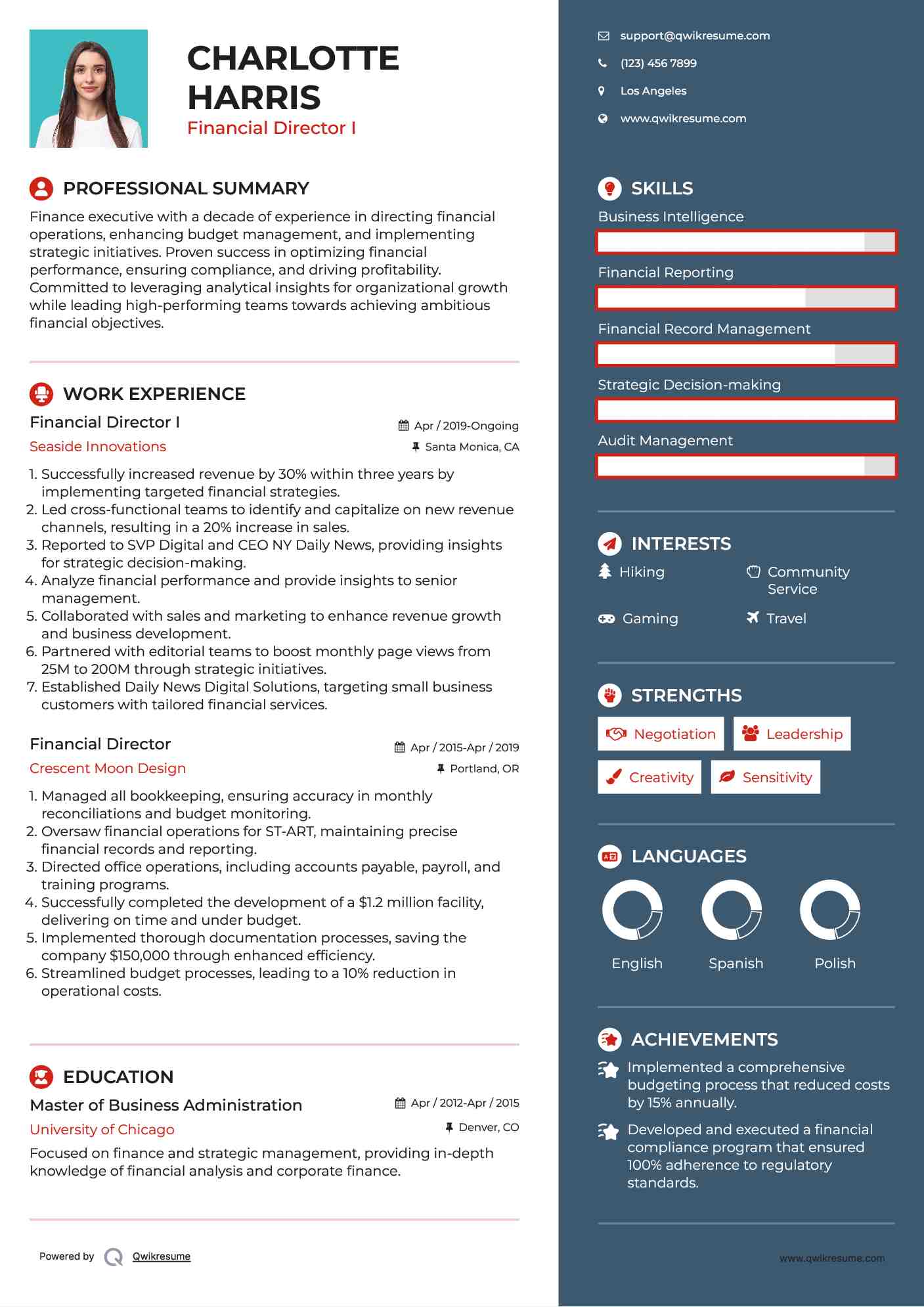 Financial Director I Resume Model