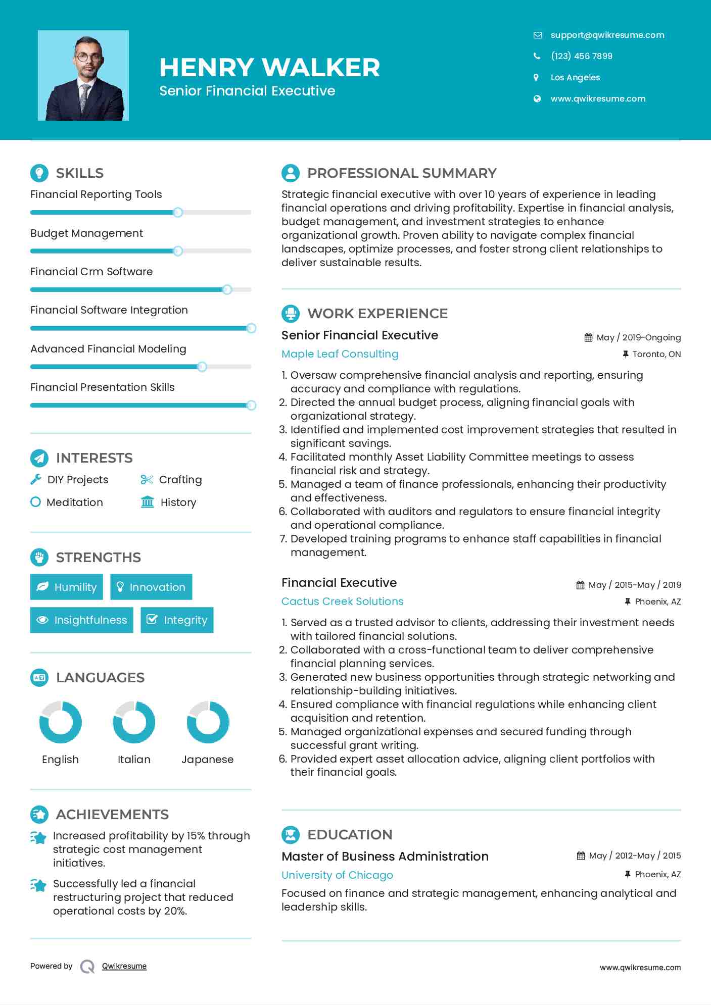 Senior Financial Executive Resume Example