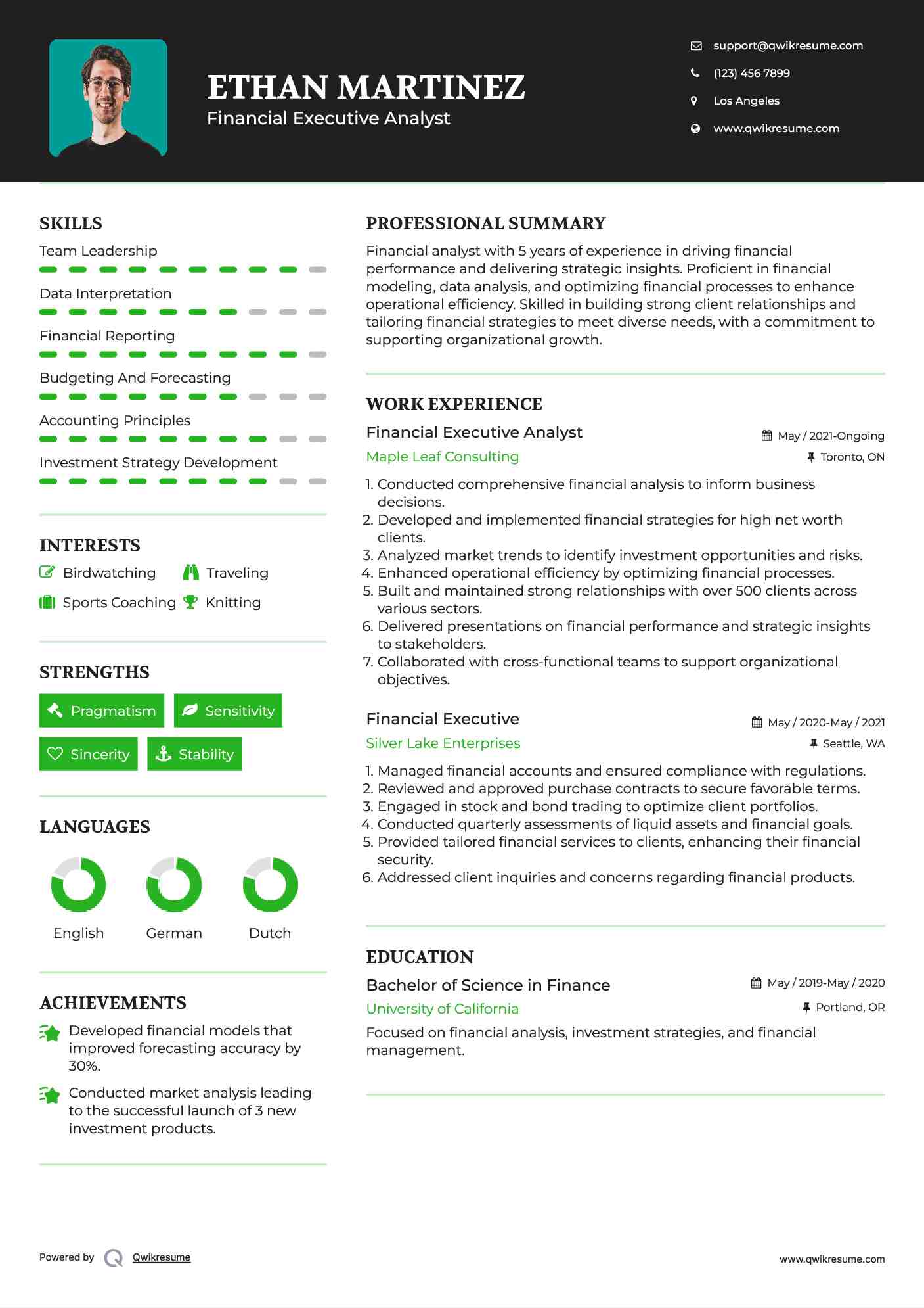 Financial Executive Analyst Resume Template