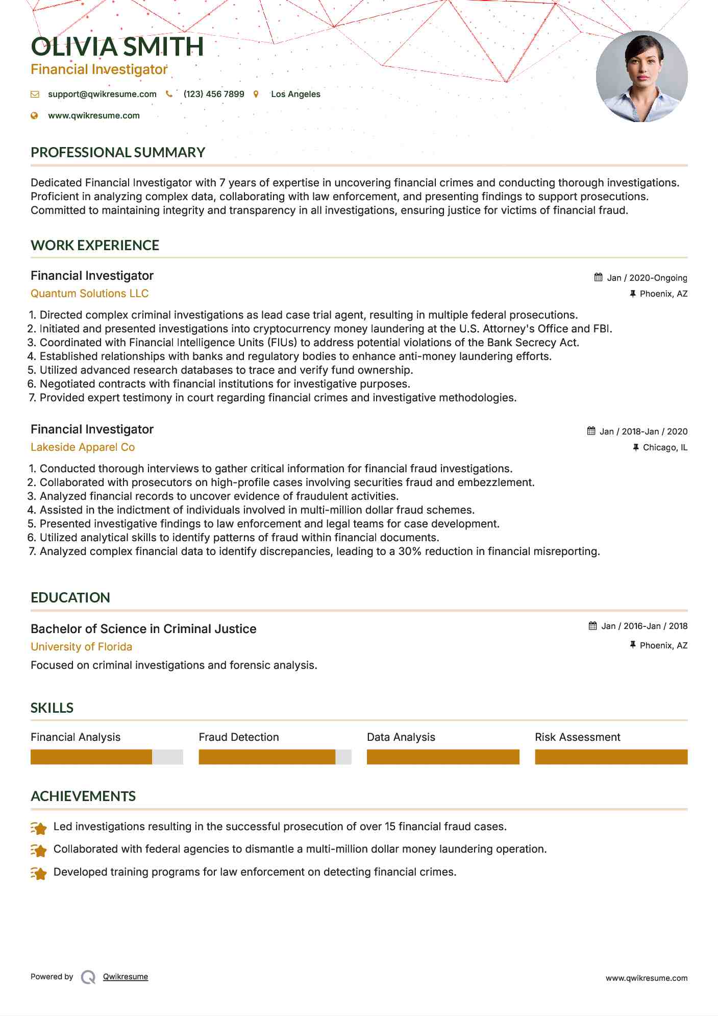 Financial Investigator Resume Template