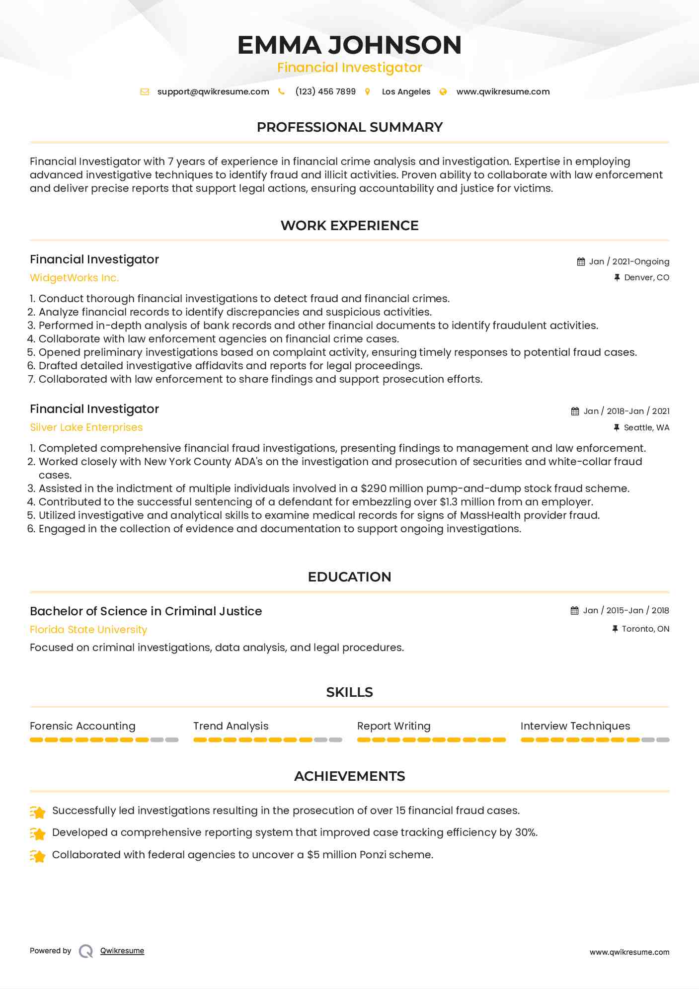 Financial Investigator Resume Sample