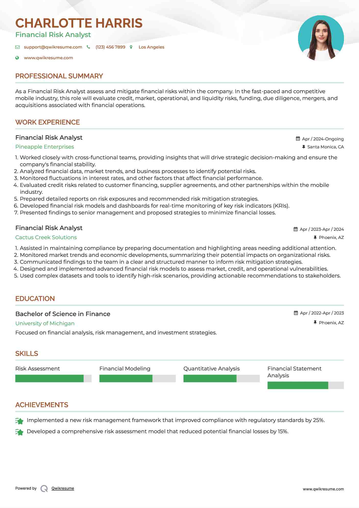 Financial Risk Analyst Resume Sample