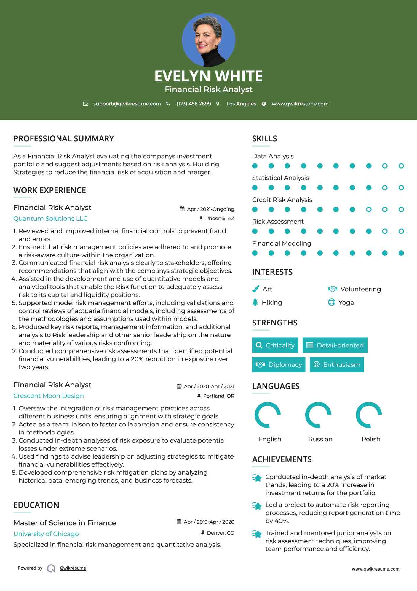 Financial Risk Analyst Resume Sample