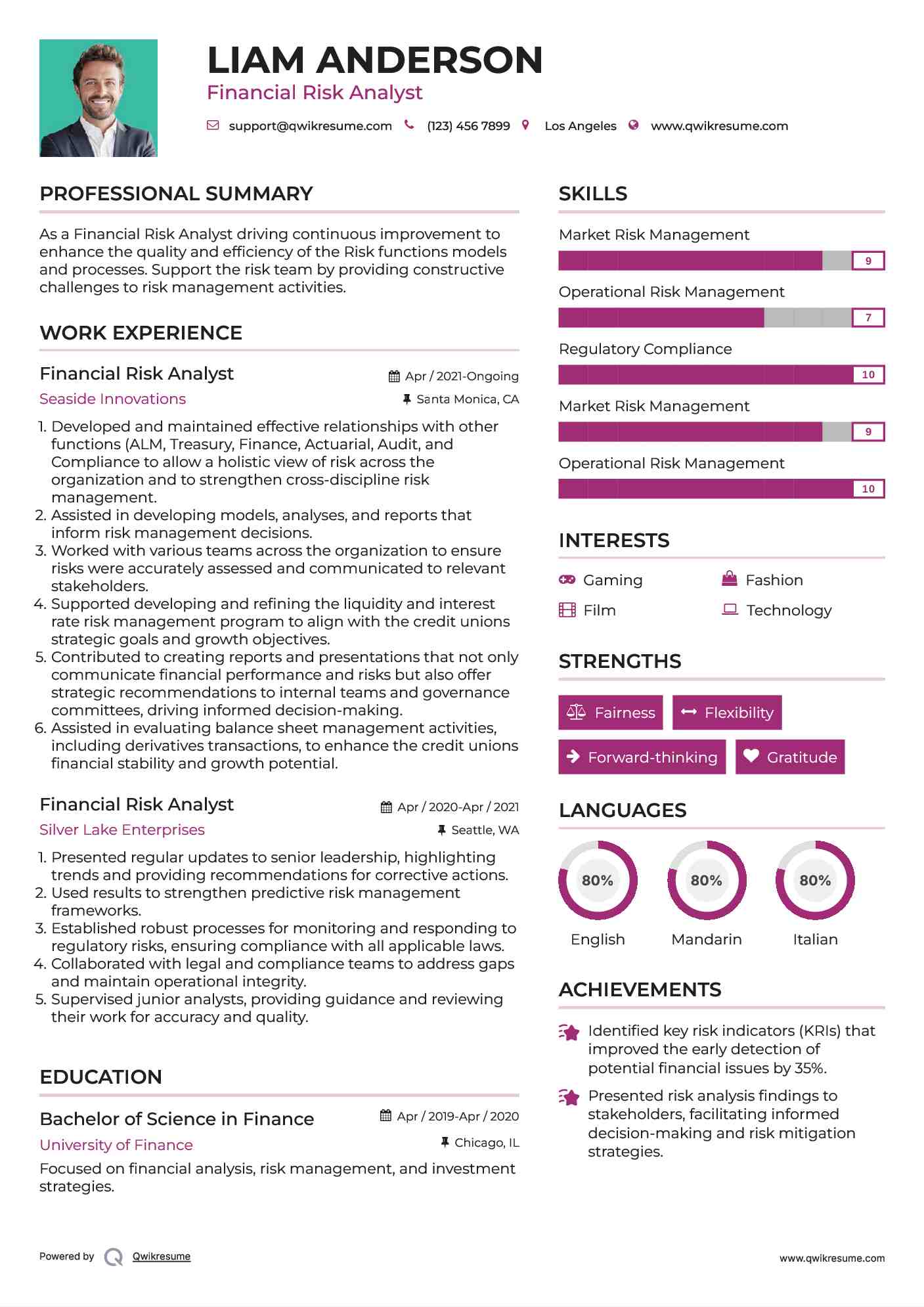 Financial Risk Analyst Resume Template