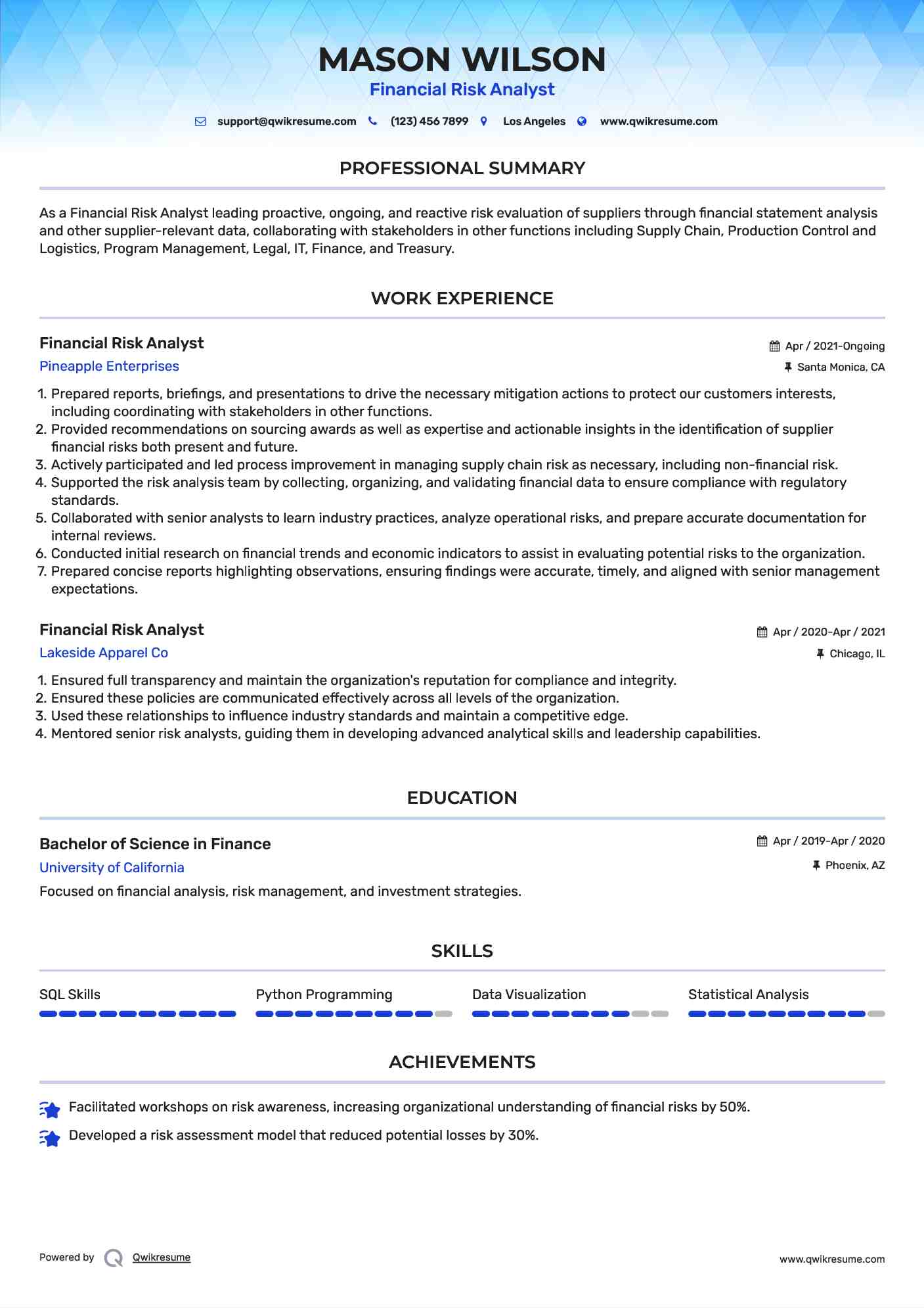 Financial Risk Analyst Resume Sample