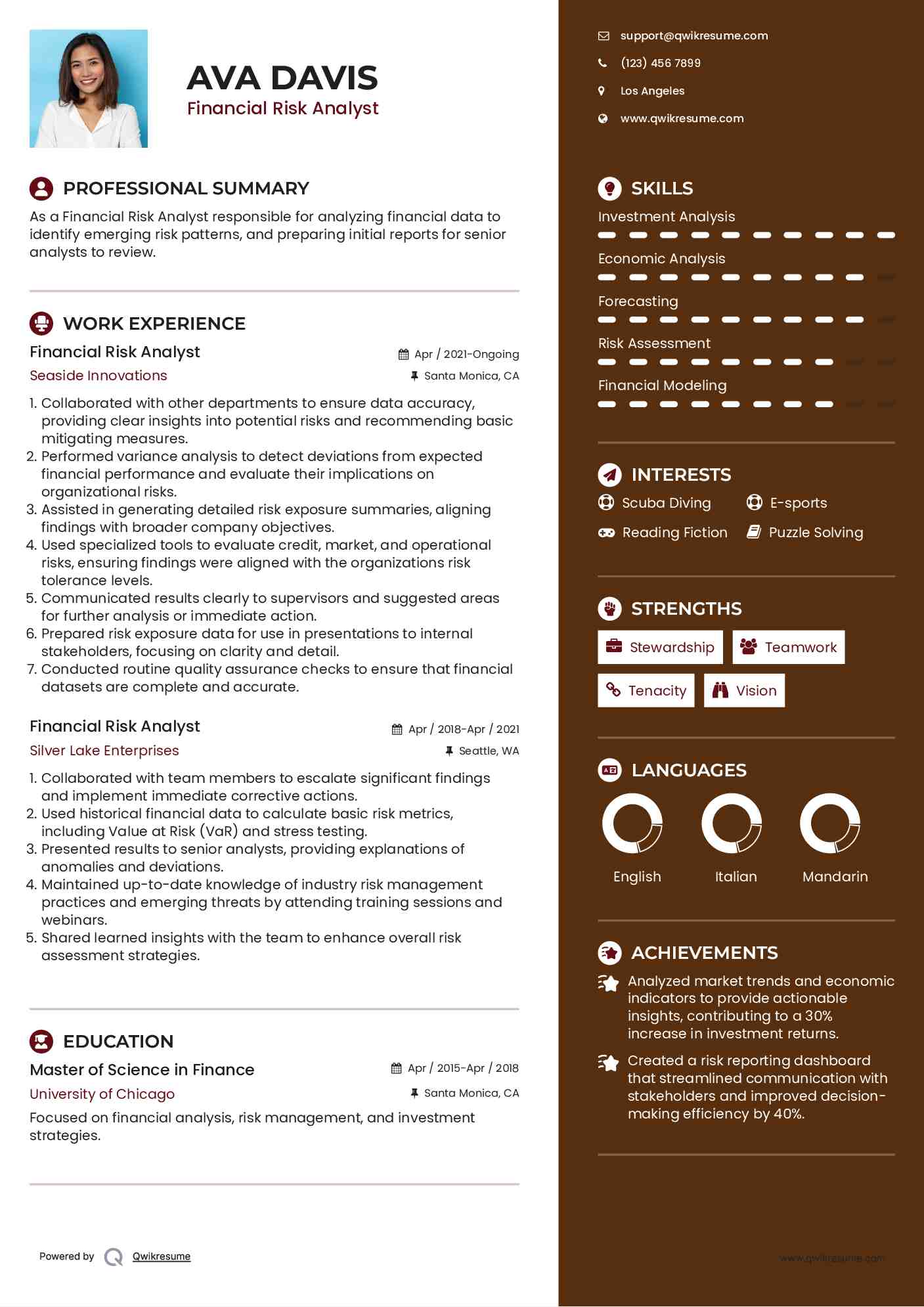 Financial Risk Analyst Resume Example