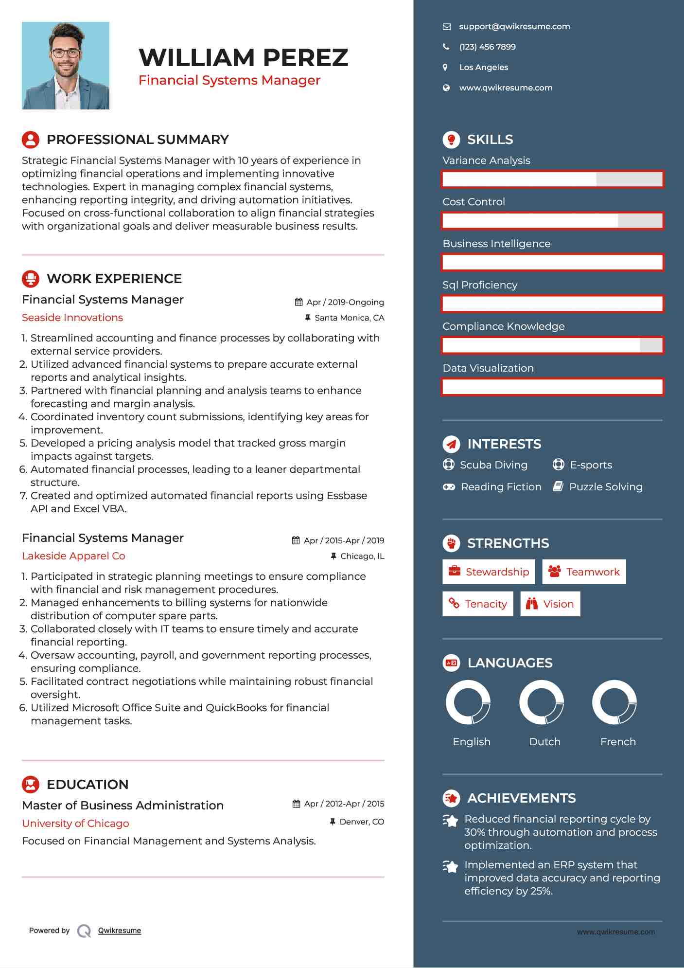 Financial Systems Manager Resume Model