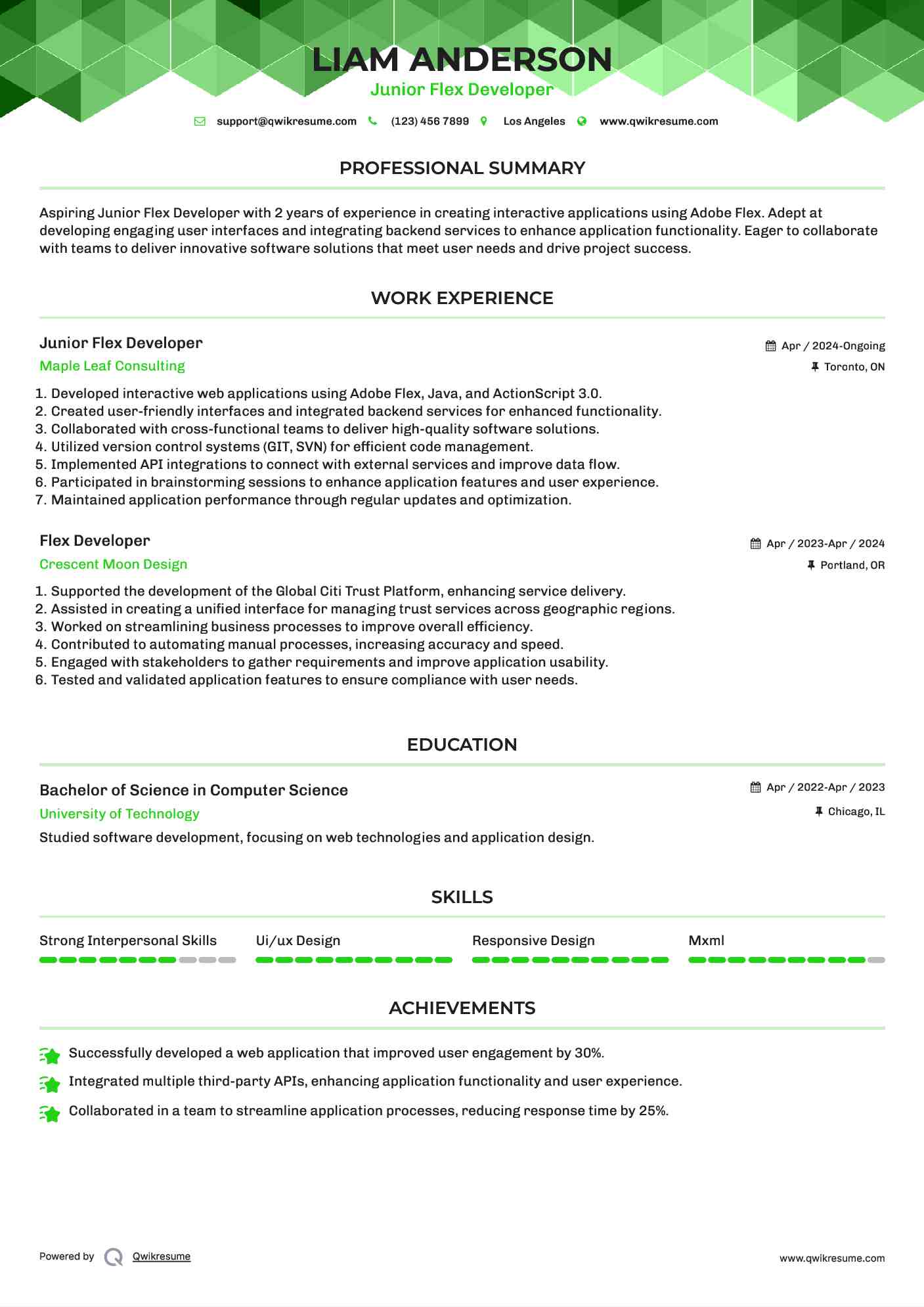 Junior Flex Developer Resume Format