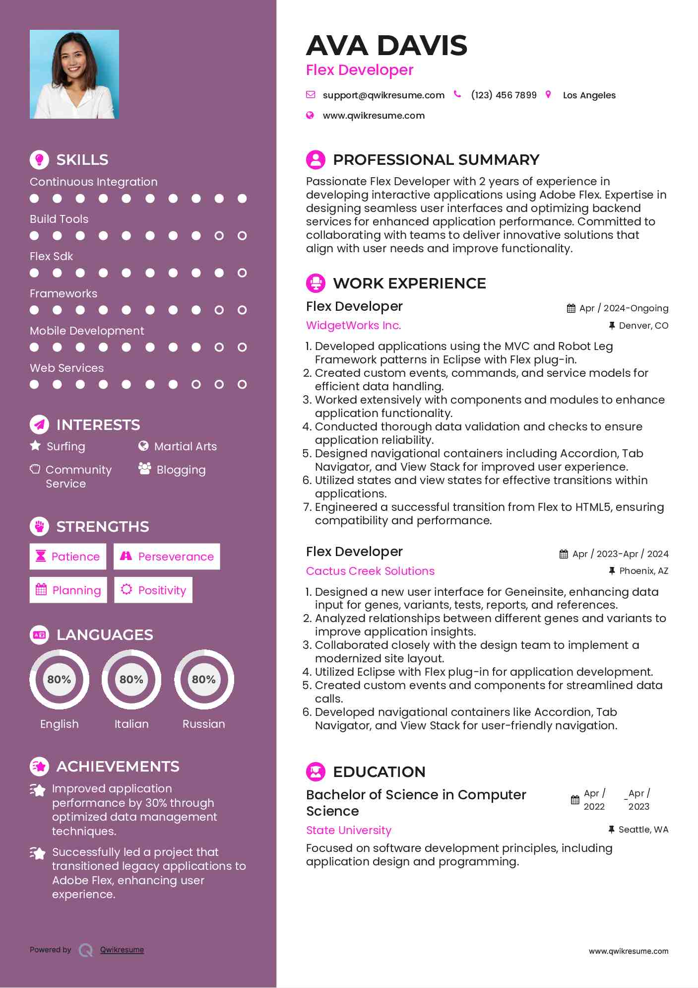 Flex Developer Resume Example