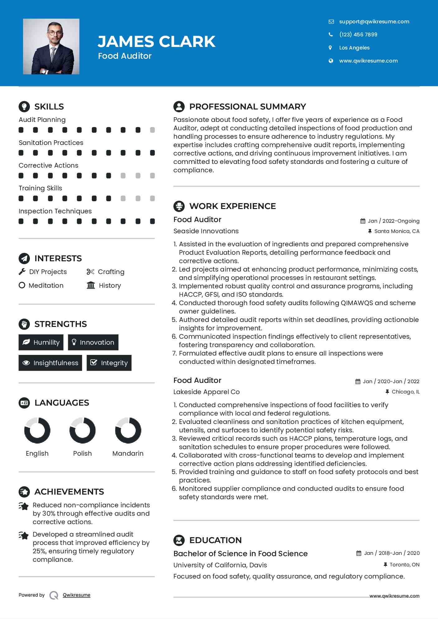 Food Auditor Resume Model