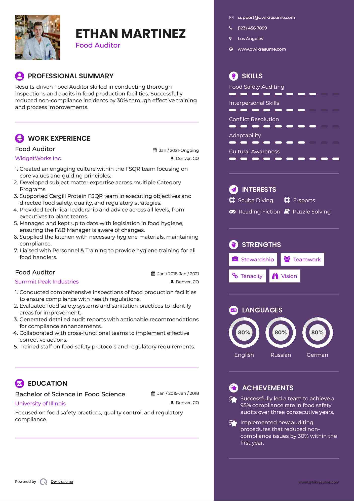Food Auditor Resume Model