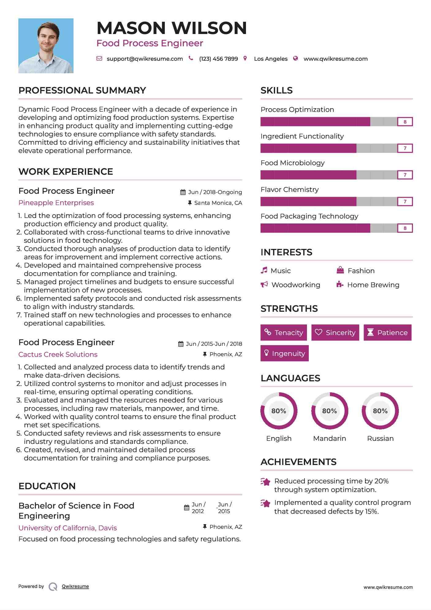 Food Process Engineer Resume Example