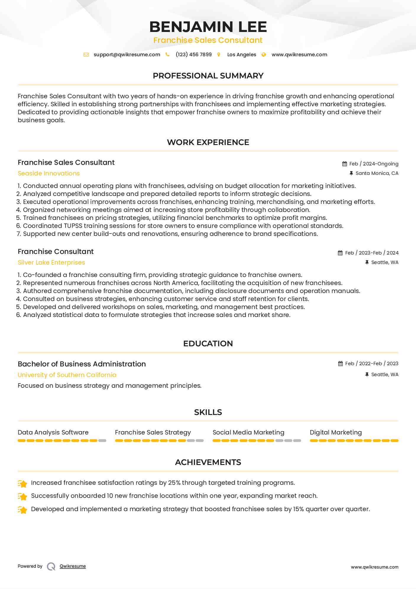 Franchise Sales Consultant Resume Format