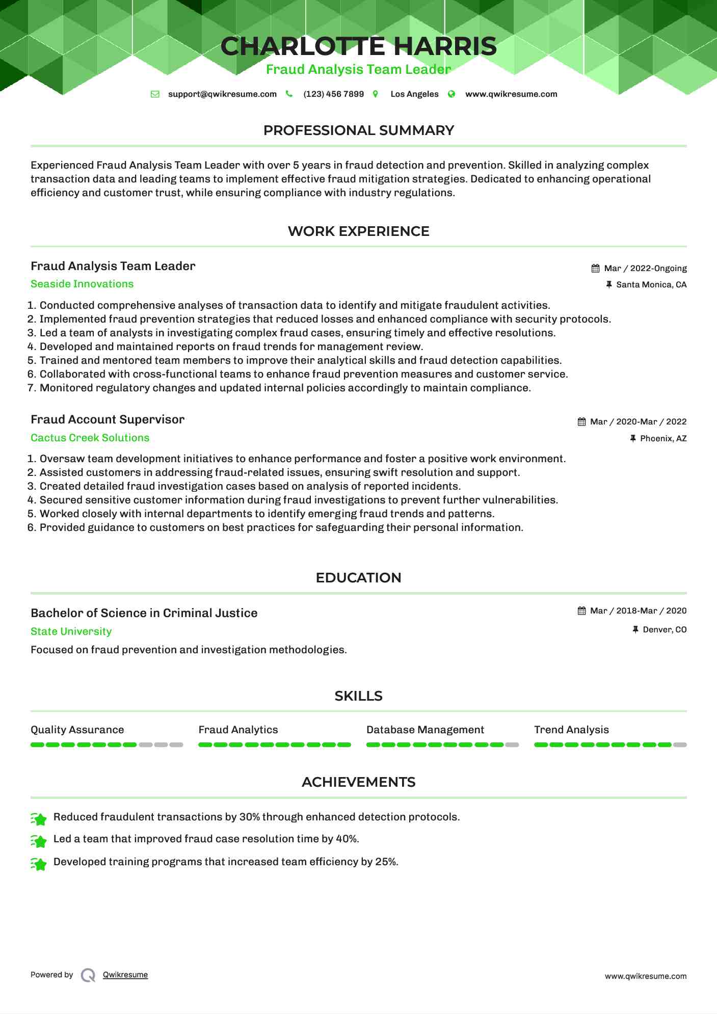 Fraud Analysis Team Leader Resume Model