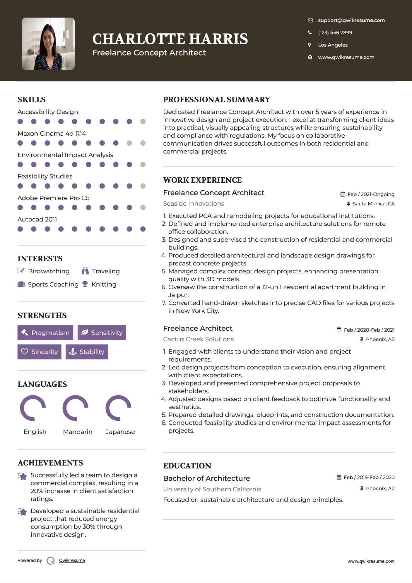 Freelance Concept Architect Resume Example