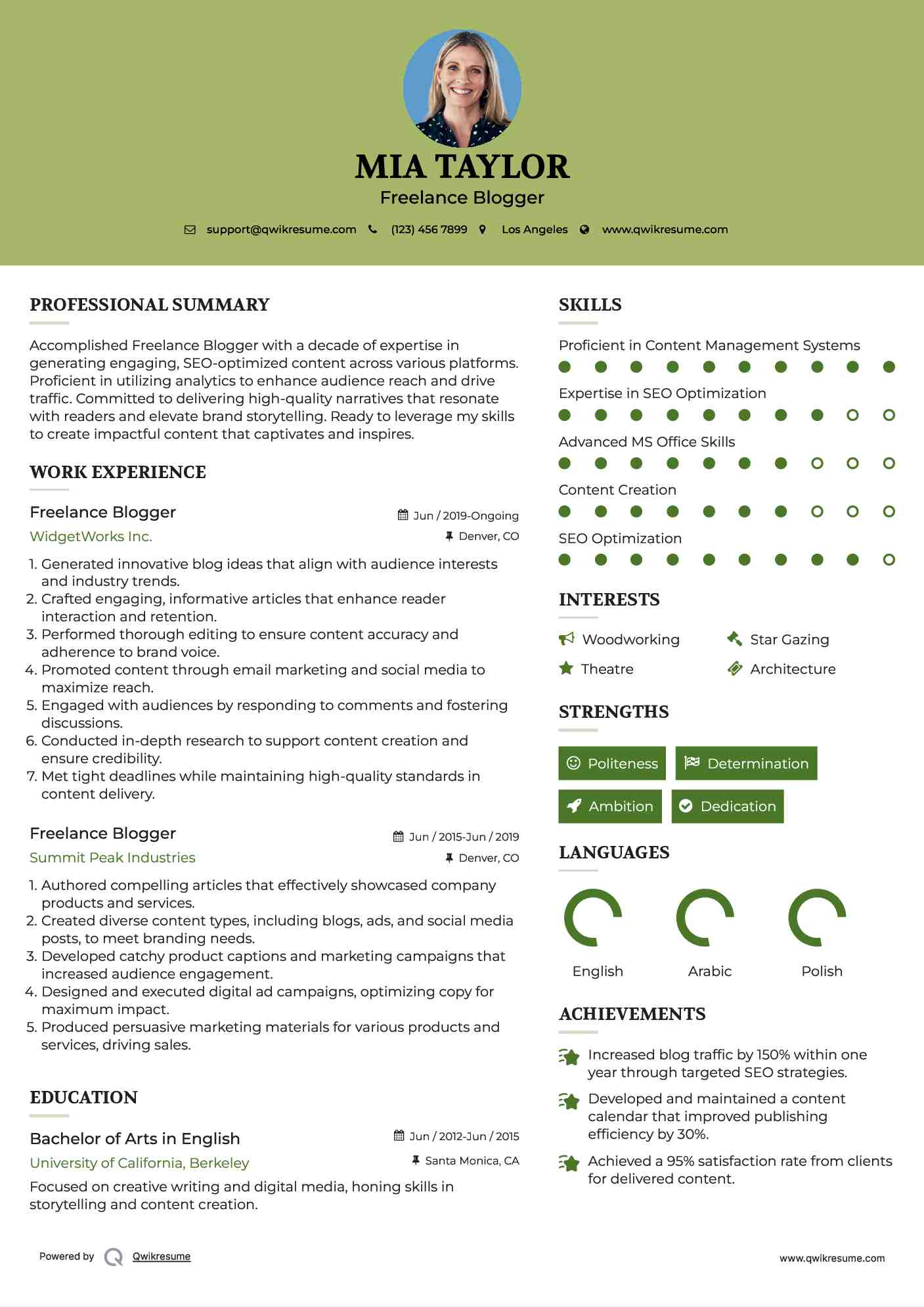 Freelance Blogger Resume Model