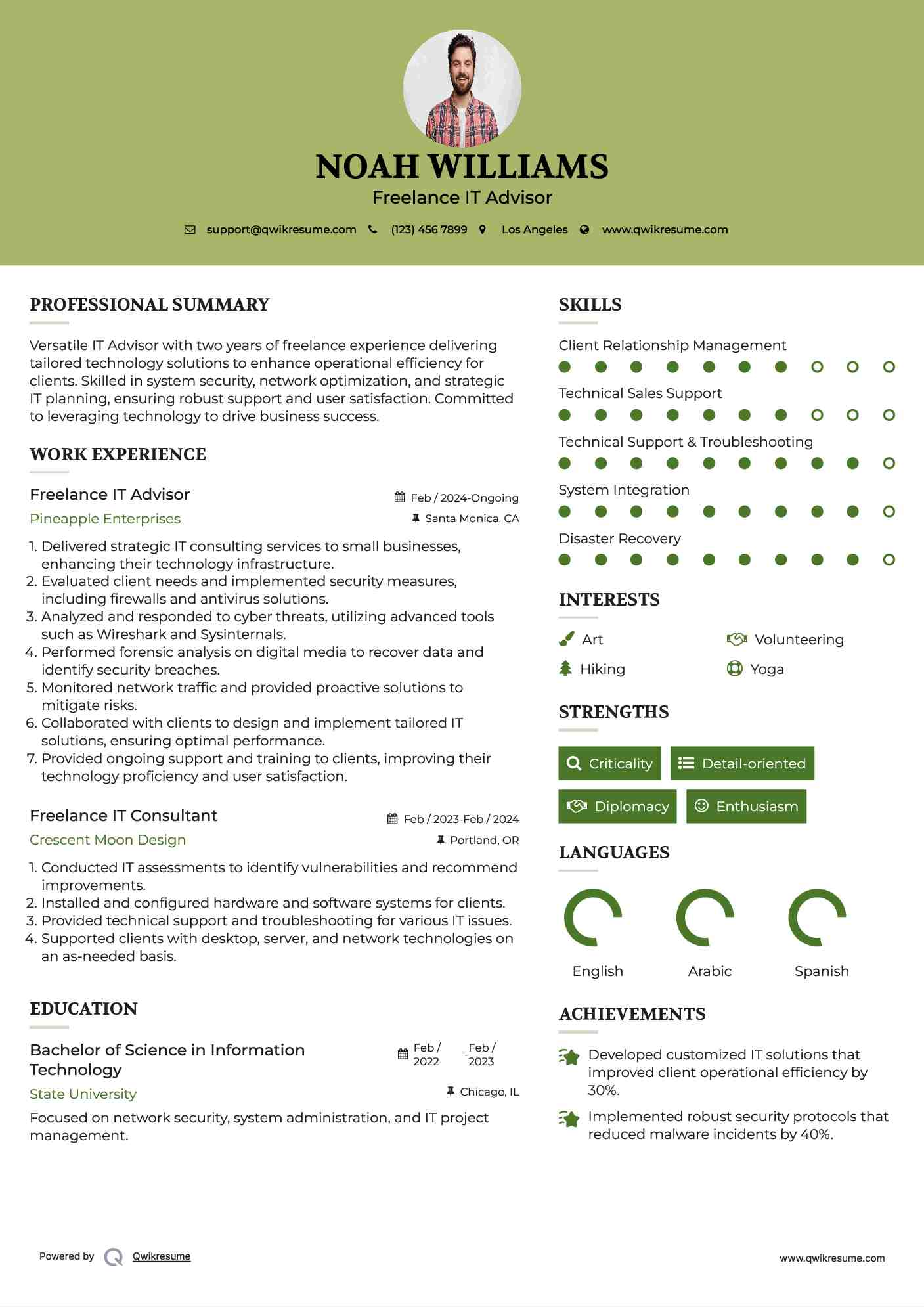 Freelance IT Advisor Resume Template